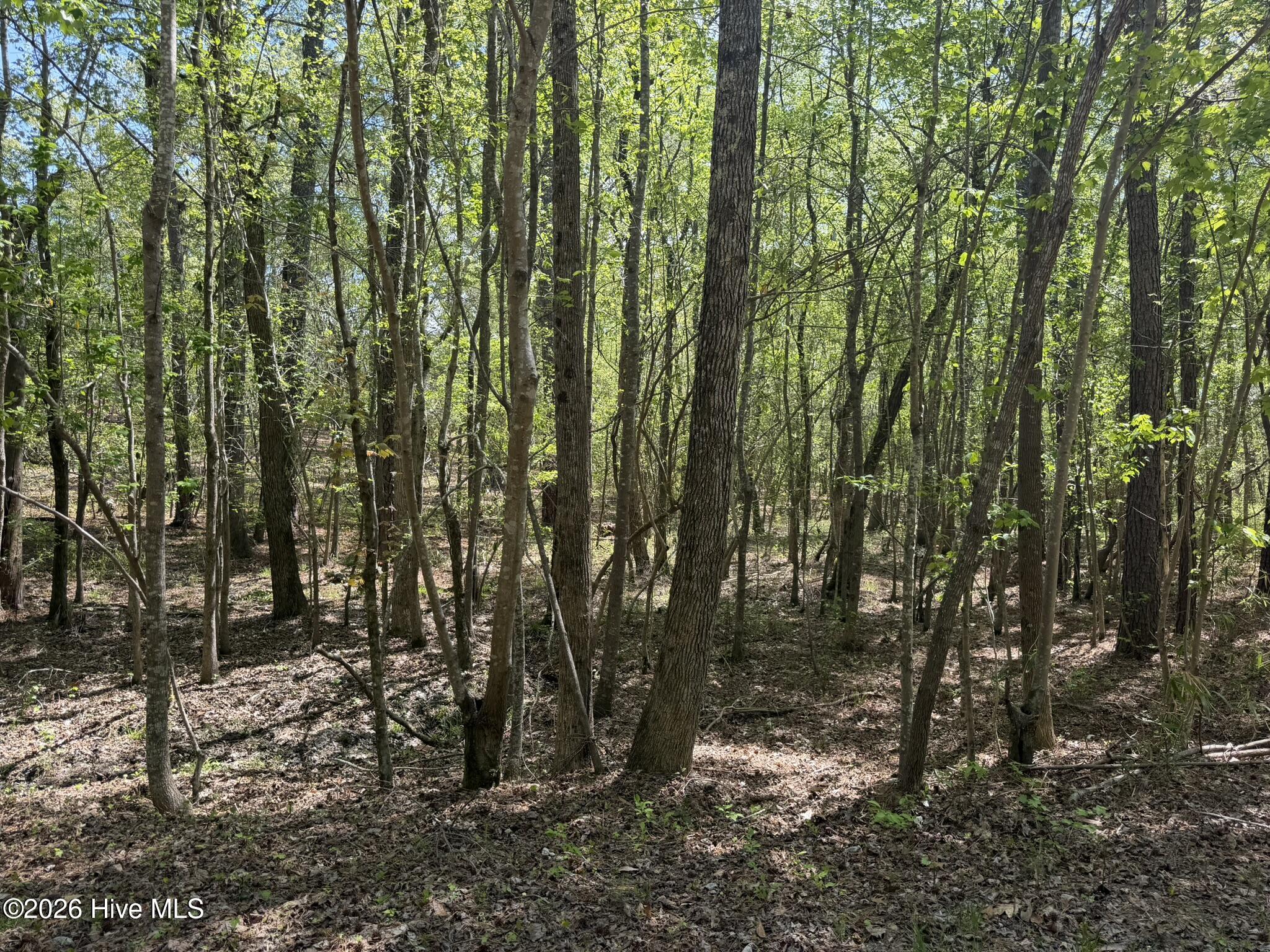 1014 R Cedar Lane West End, NC 27376 - Photo 12 of 18 IMG_0834