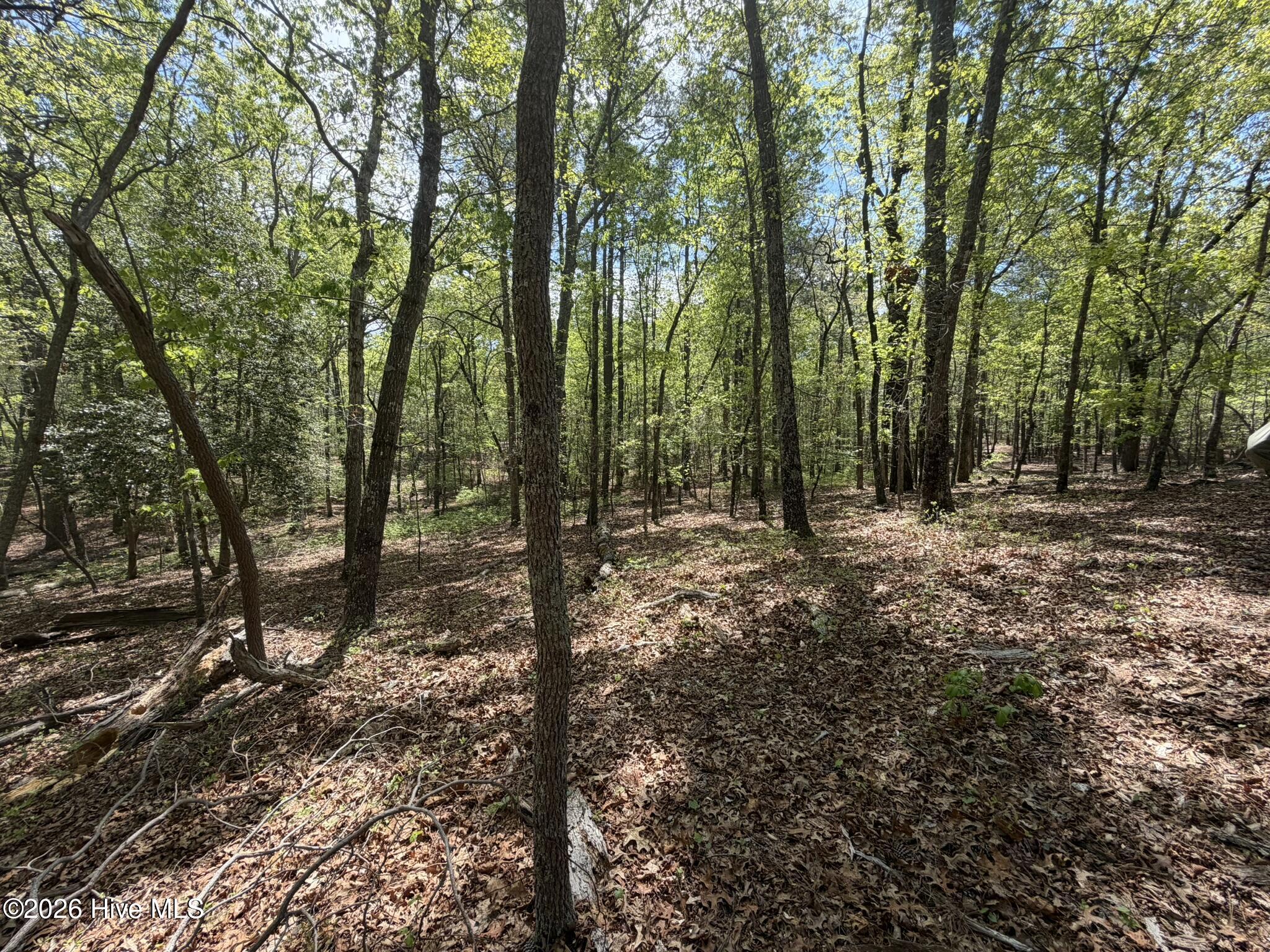 1014 R Cedar Lane West End, NC 27376 - Photo 2 of 18 IMG_0794