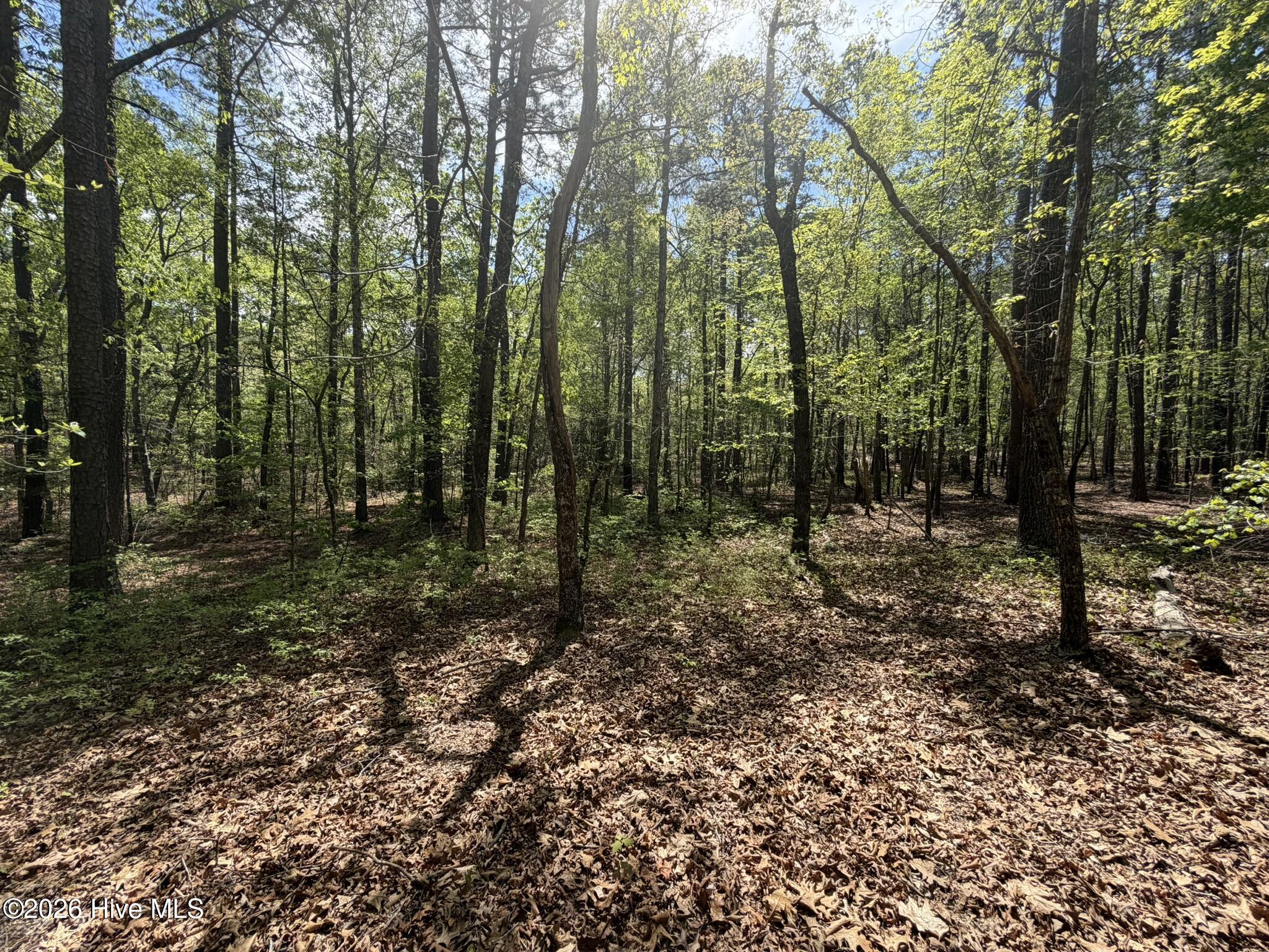 1014 R Cedar Lane West End, NC 27376 - Photo 5 of 18 IMG_0797