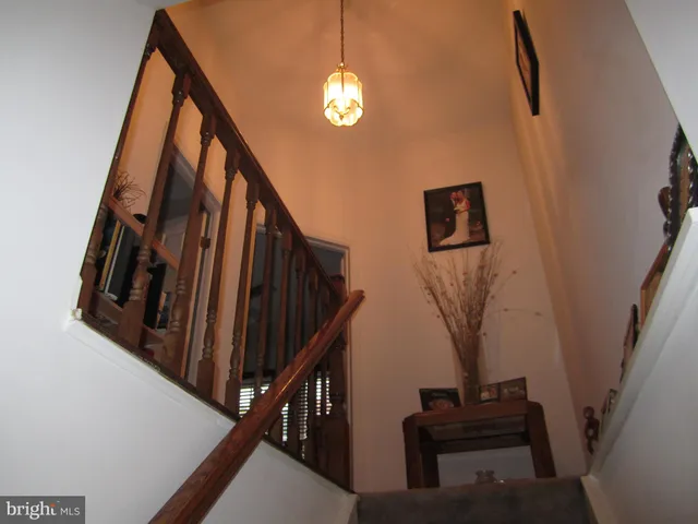 a front view of a house with plants