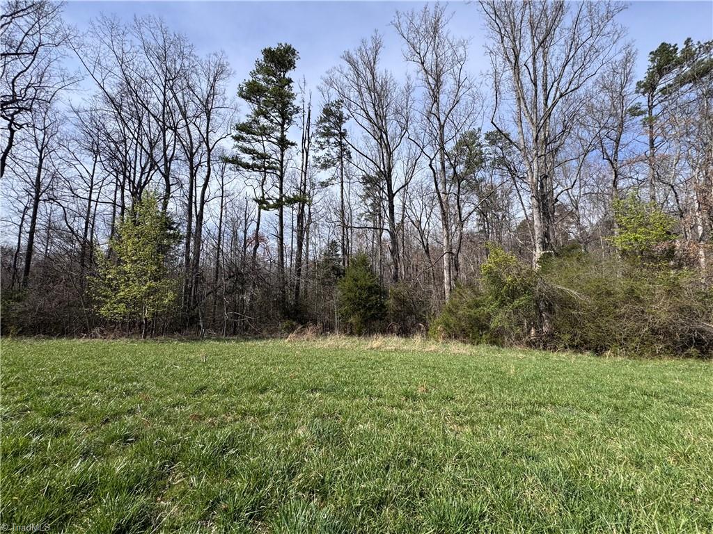 Tbd Timberlake Trail Elkin, NC 28621 - Photo 5 of 12 Gallery Image 5