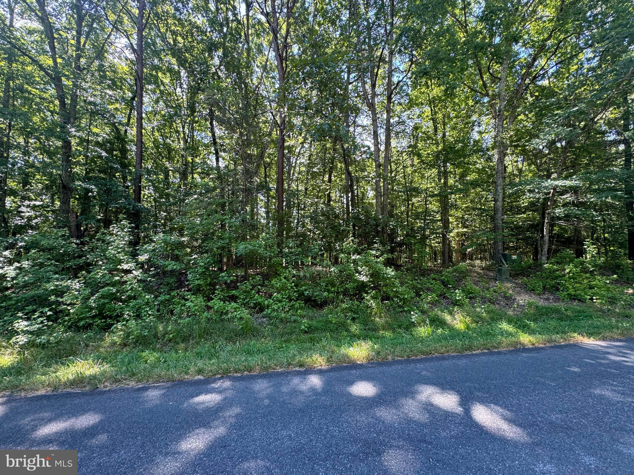 Lot 15 Moody Town Road Bumpass, VA 23024 - Photo 3 of 5 Gallery Image 3