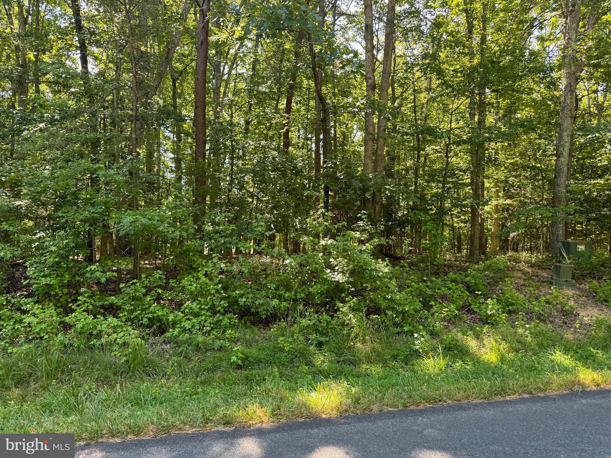 Lot 15 Moody Town Road Bumpass, VA 23024 - Photo 4 of 5 Gallery Image 4