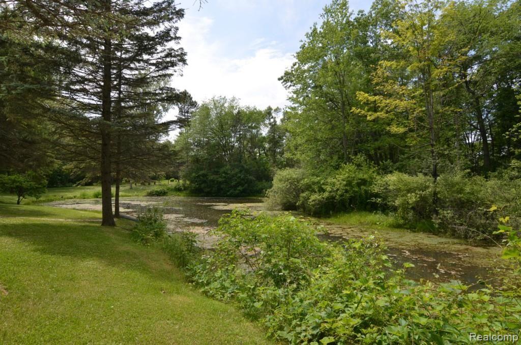 7365 Perryville Road Holly, MI 48442 - Photo 13 of 49 POND IN PARK LIKE SETTING