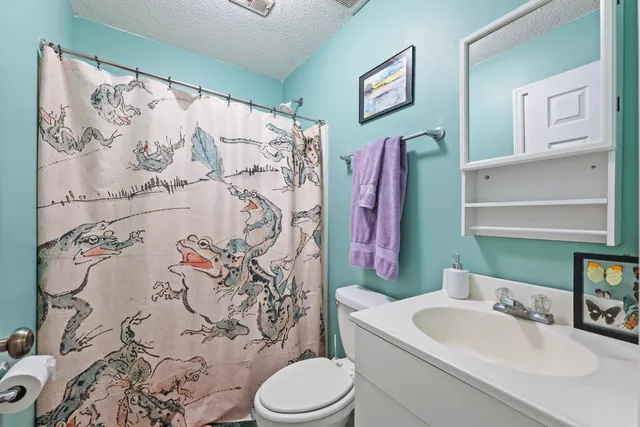 $513,000 | 1272 French Santee Road, Jamestown, SC 29453