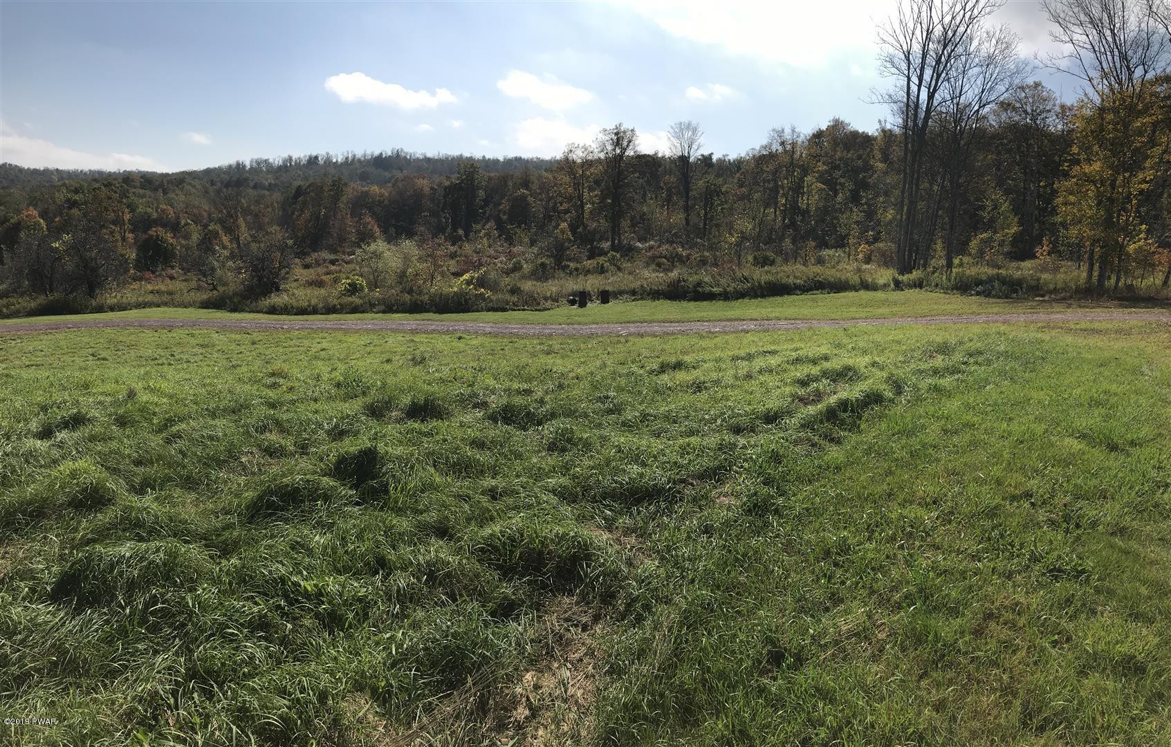 695 Pine Mill Road Equinunk, PA 18417 - Photo 51 of 68