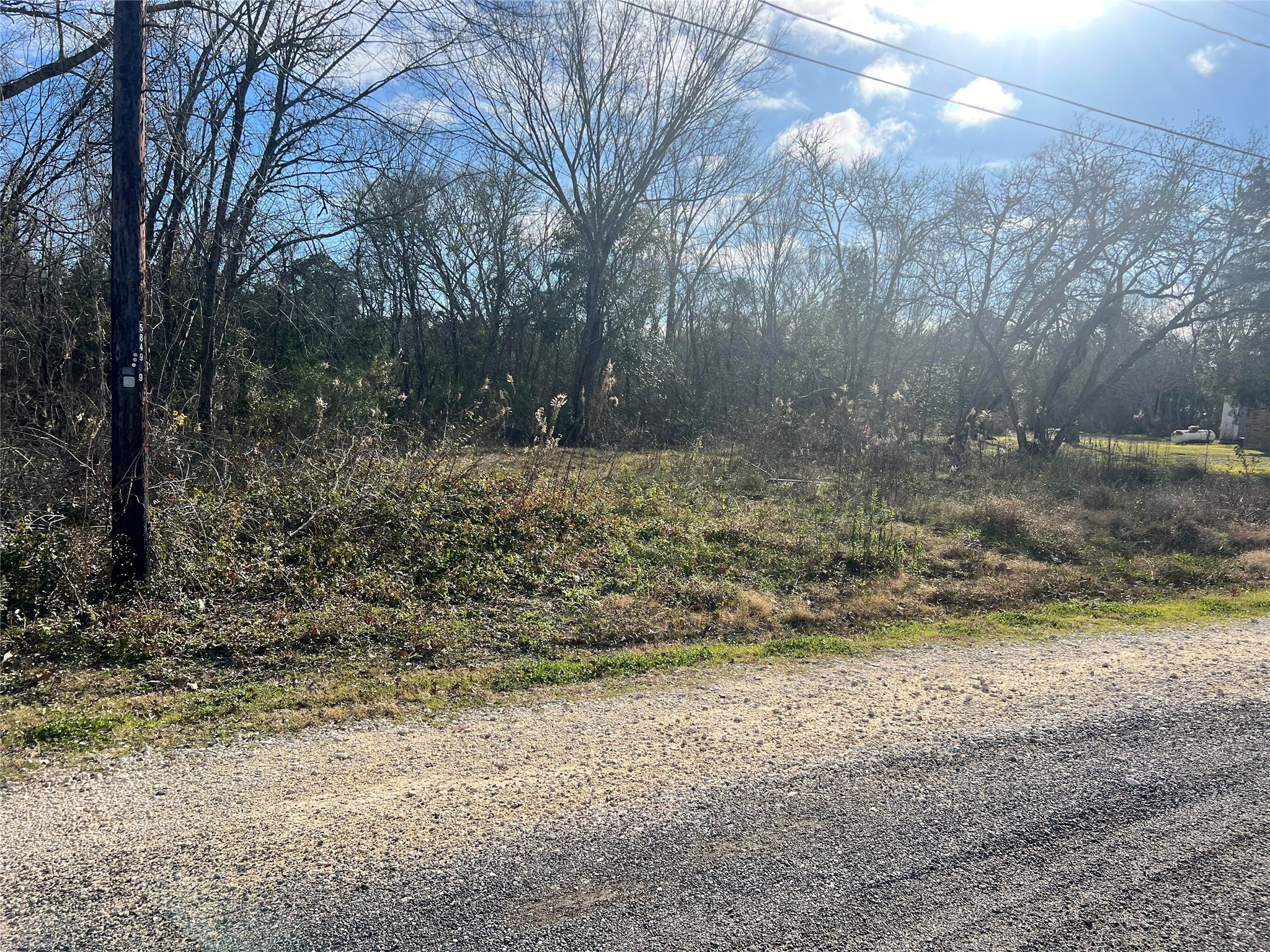 7603 Jordan Road Hitchcock, TX 77563 - Photo 2 of 10 a view of a yard with a tree