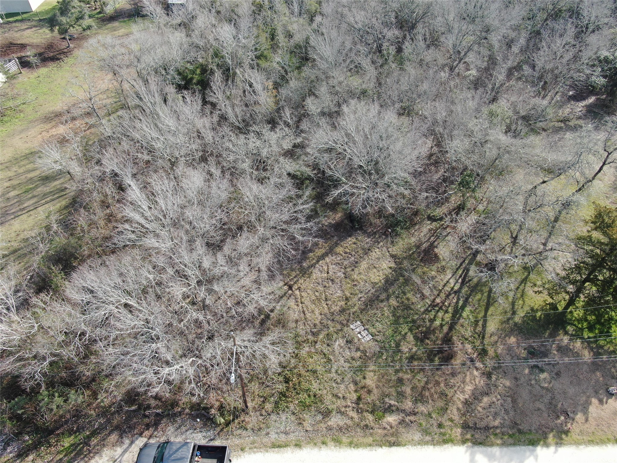7603 Jordan Road Hitchcock, TX 77563 - Photo 4 of 10 a view of a dry yard with green space