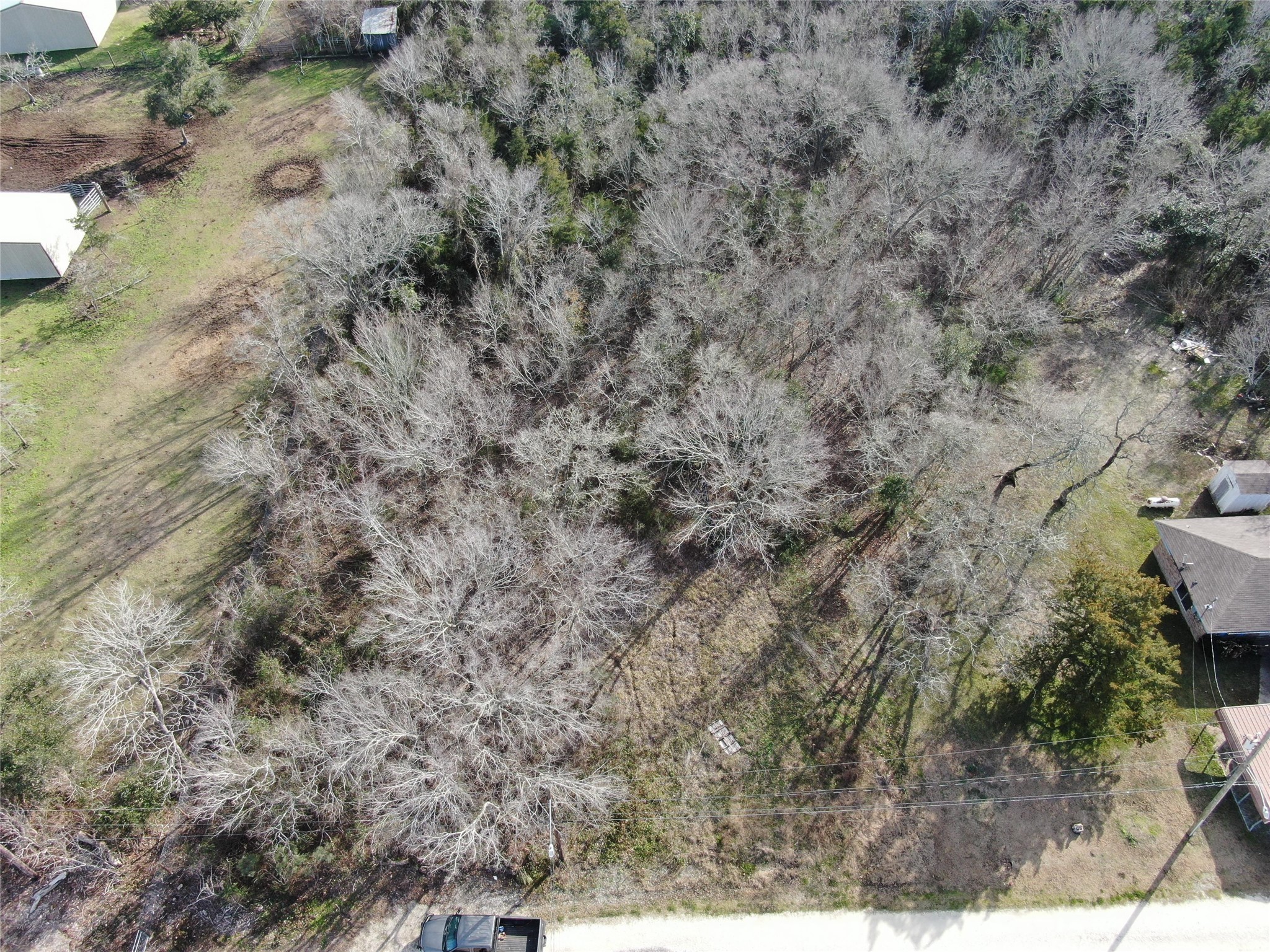7603 Jordan Road Hitchcock, TX 77563 - Photo 5 of 10 a view of a dry yard with lots of trees
