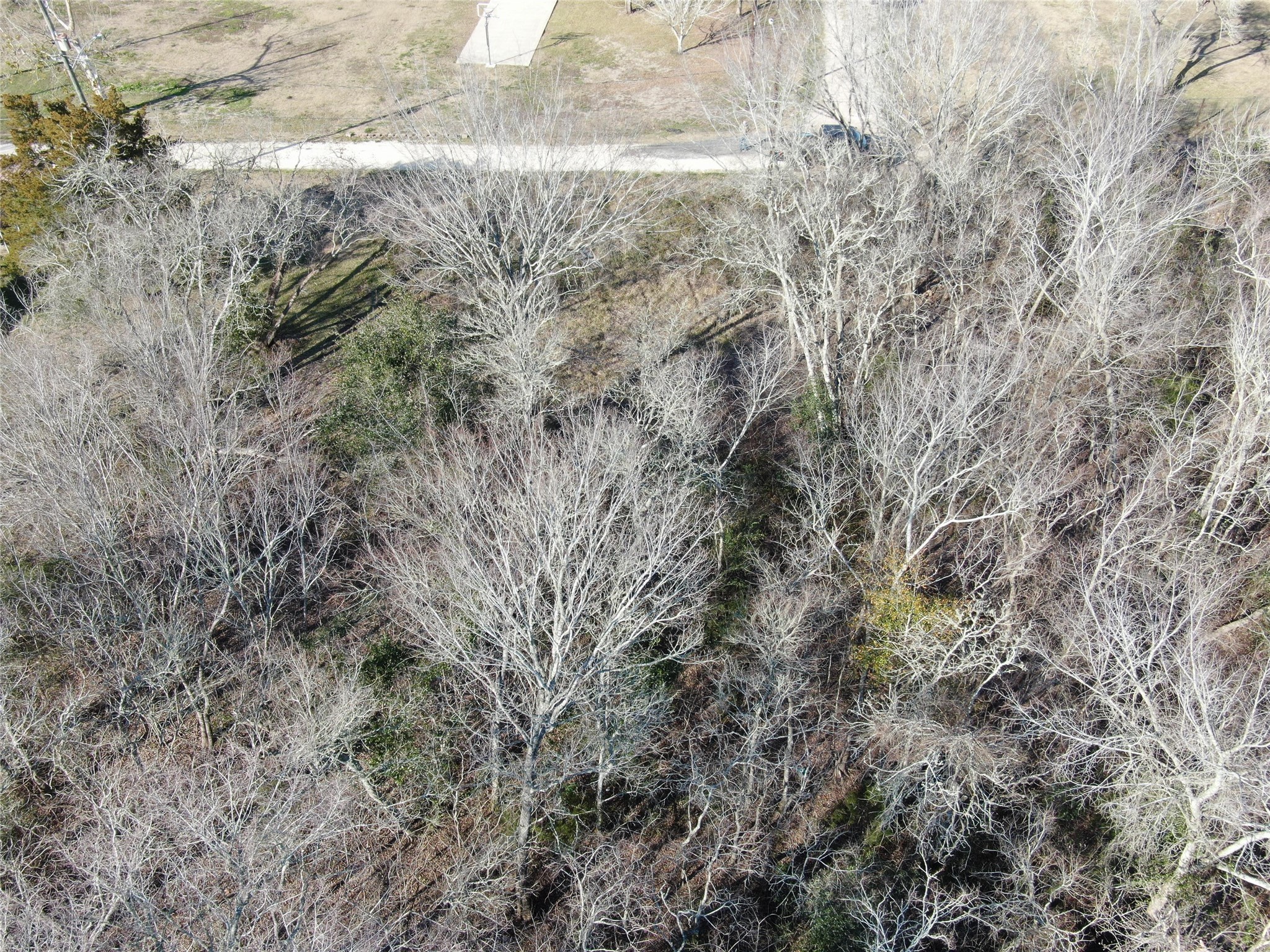 7603 Jordan Road Hitchcock, TX 77563 - Photo 8 of 10 a view of a yard
