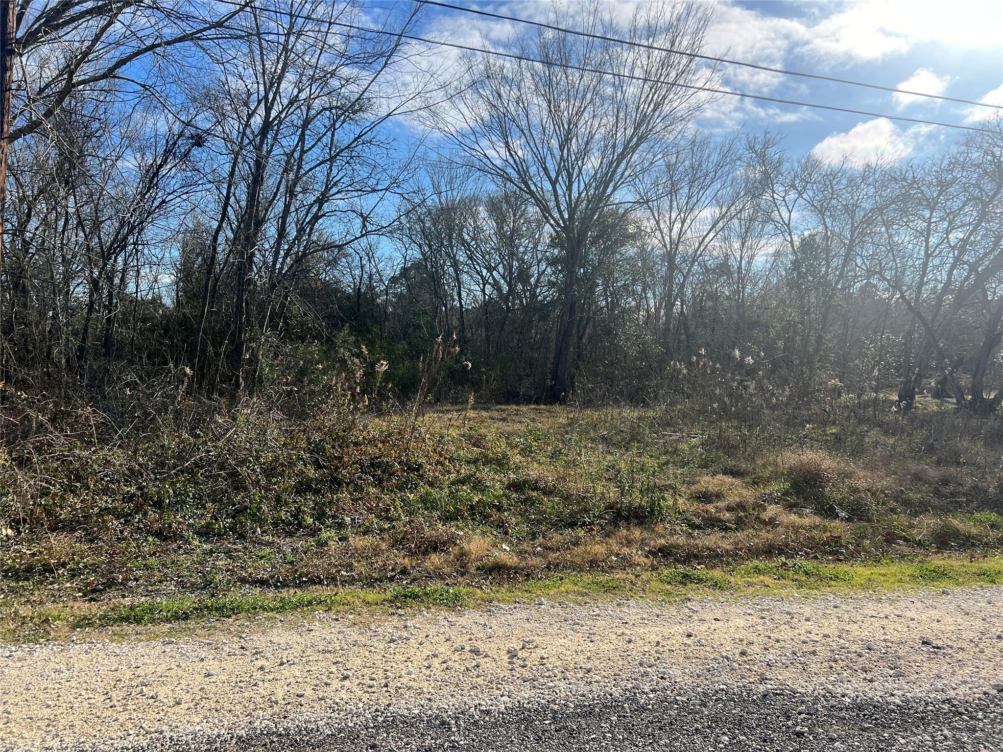 7603 Jordan Road Hitchcock, TX 77563 - Photo 10 of 10 a view of backyard with green space
