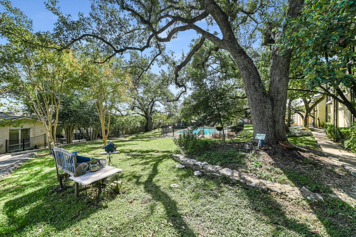 5332 Balcones Drive, Unit I Austin, TX 78731 - Photo 13 of 16 a view of a garden with a tree