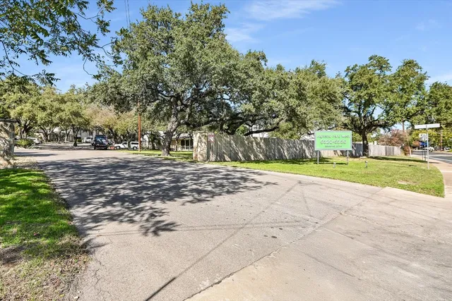 a view of a yard with plants and large trees