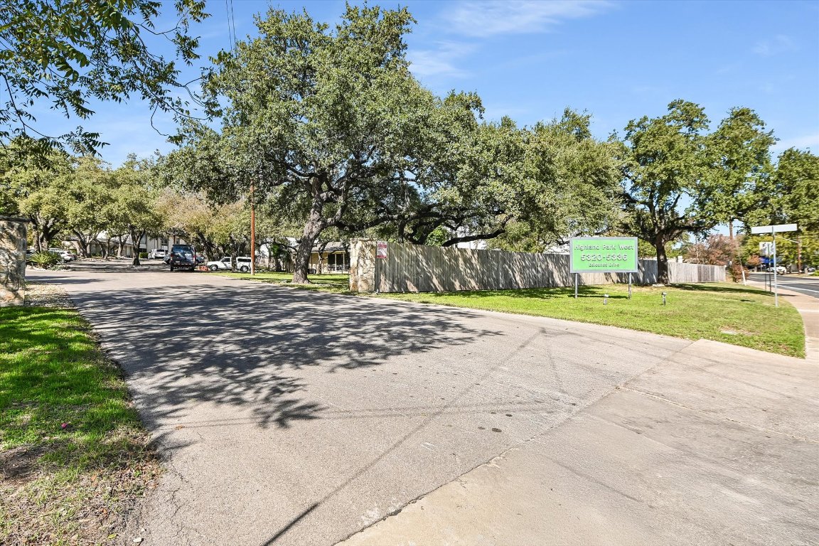 5332 Balcones Drive, Unit I Austin, TX 78731 - Photo 15 of 16 a view of a yard with plants and large trees