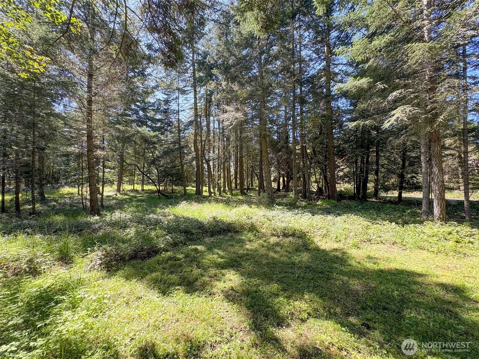 392 Holgerson Road, Unit LOT 3 Sequim, WA 98382 - Photo 11 of 39