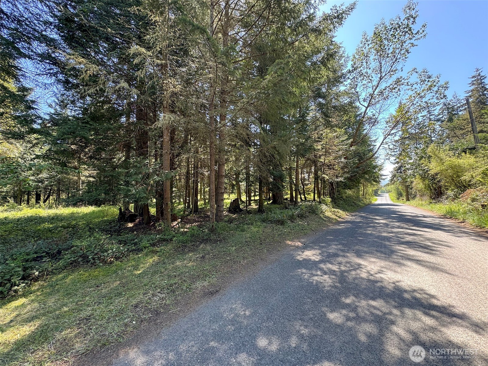 392 Holgerson Road, Unit LOT 3 Sequim, WA 98382 - Photo 12 of 39