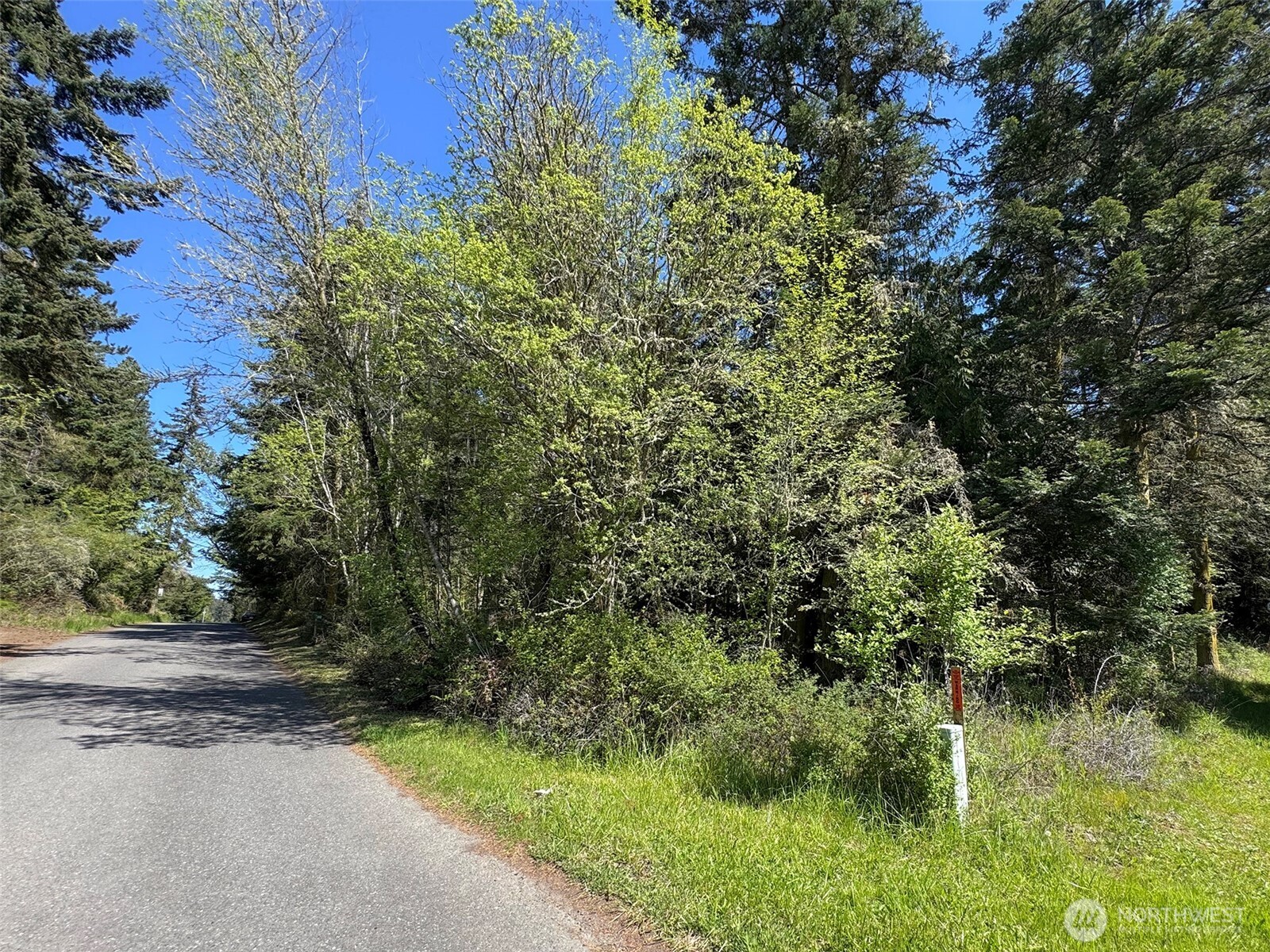 392 Holgerson Road, Unit LOT 3 Sequim, WA 98382 - Photo 14 of 39