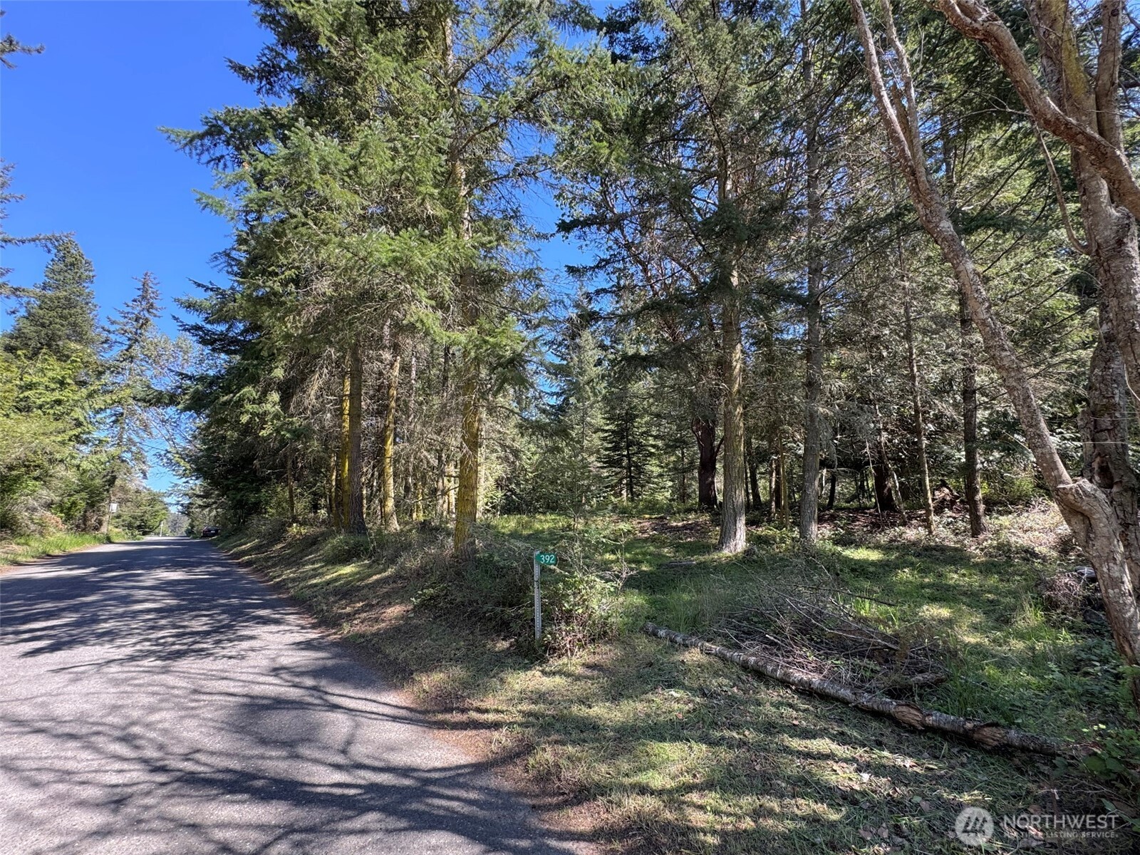 392 Holgerson Road, Unit LOT 3 Sequim, WA 98382 - Photo 15 of 39