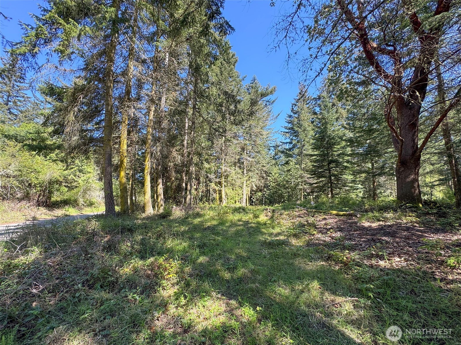 392 Holgerson Road, Unit LOT 3 Sequim, WA 98382 - Photo 16 of 39