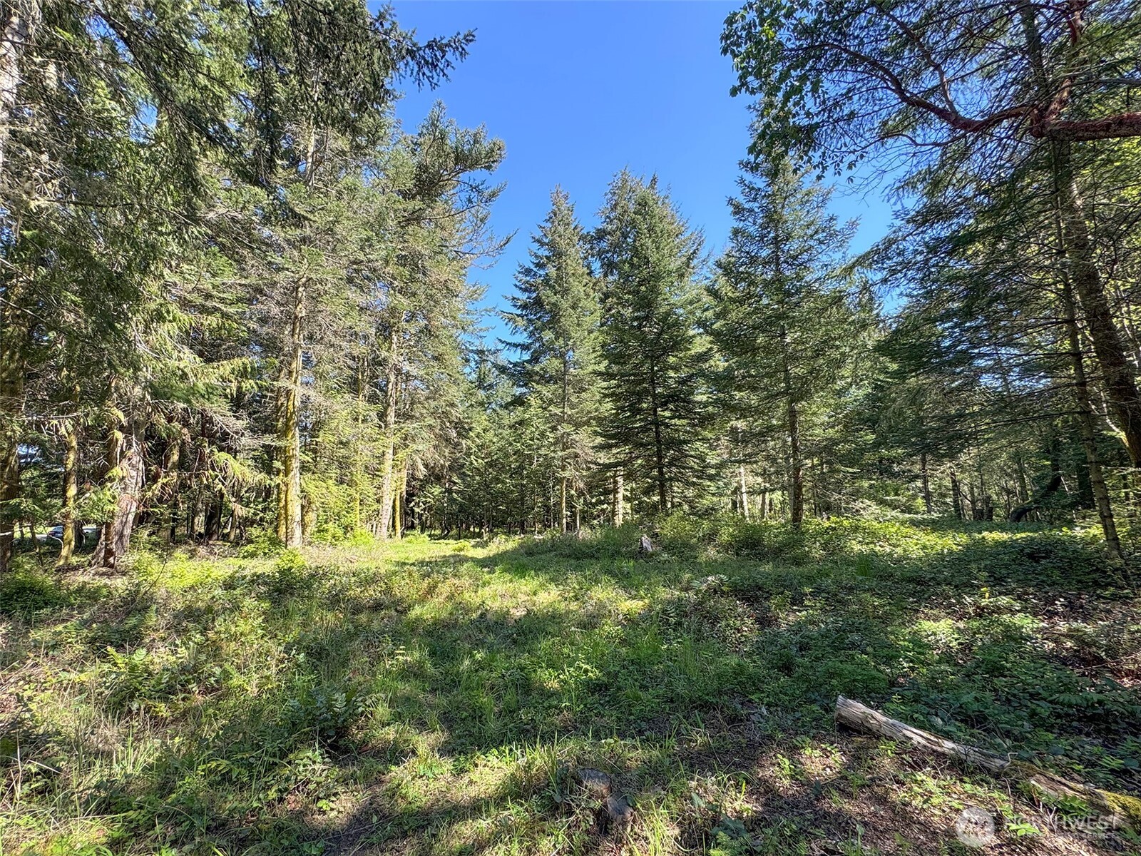 392 Holgerson Road, Unit LOT 3 Sequim, WA 98382 - Photo 17 of 39