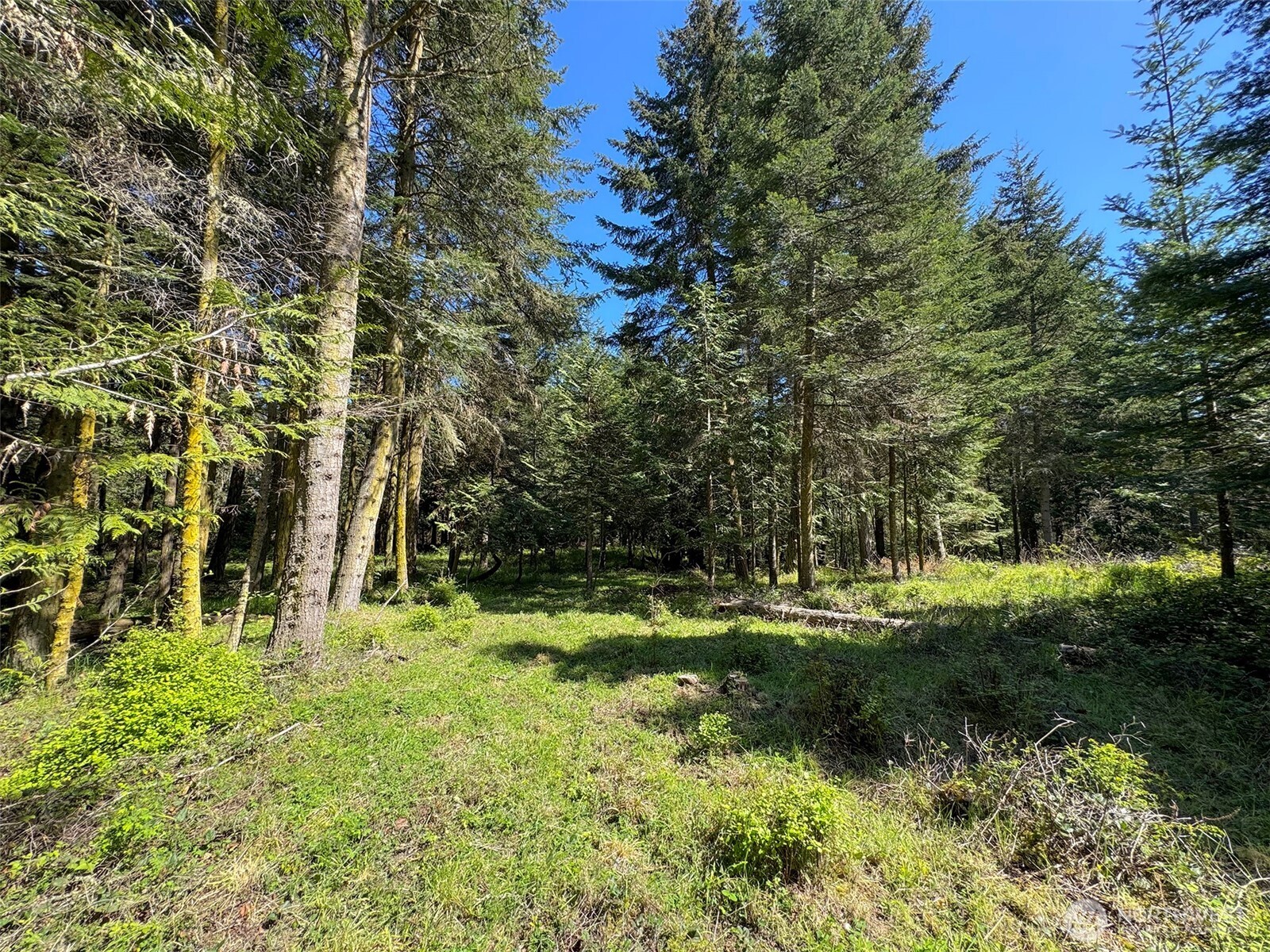 392 Holgerson Road, Unit LOT 3 Sequim, WA 98382 - Photo 18 of 39