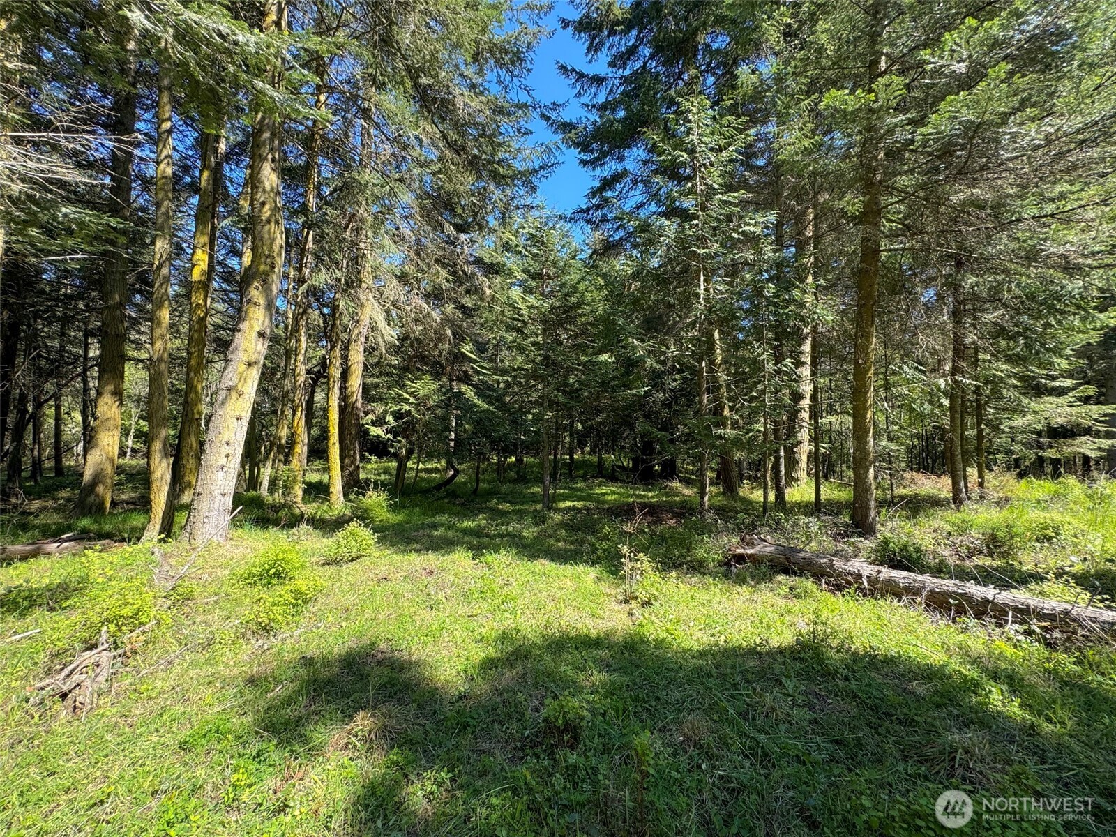 392 Holgerson Road, Unit LOT 3 Sequim, WA 98382 - Photo 19 of 39