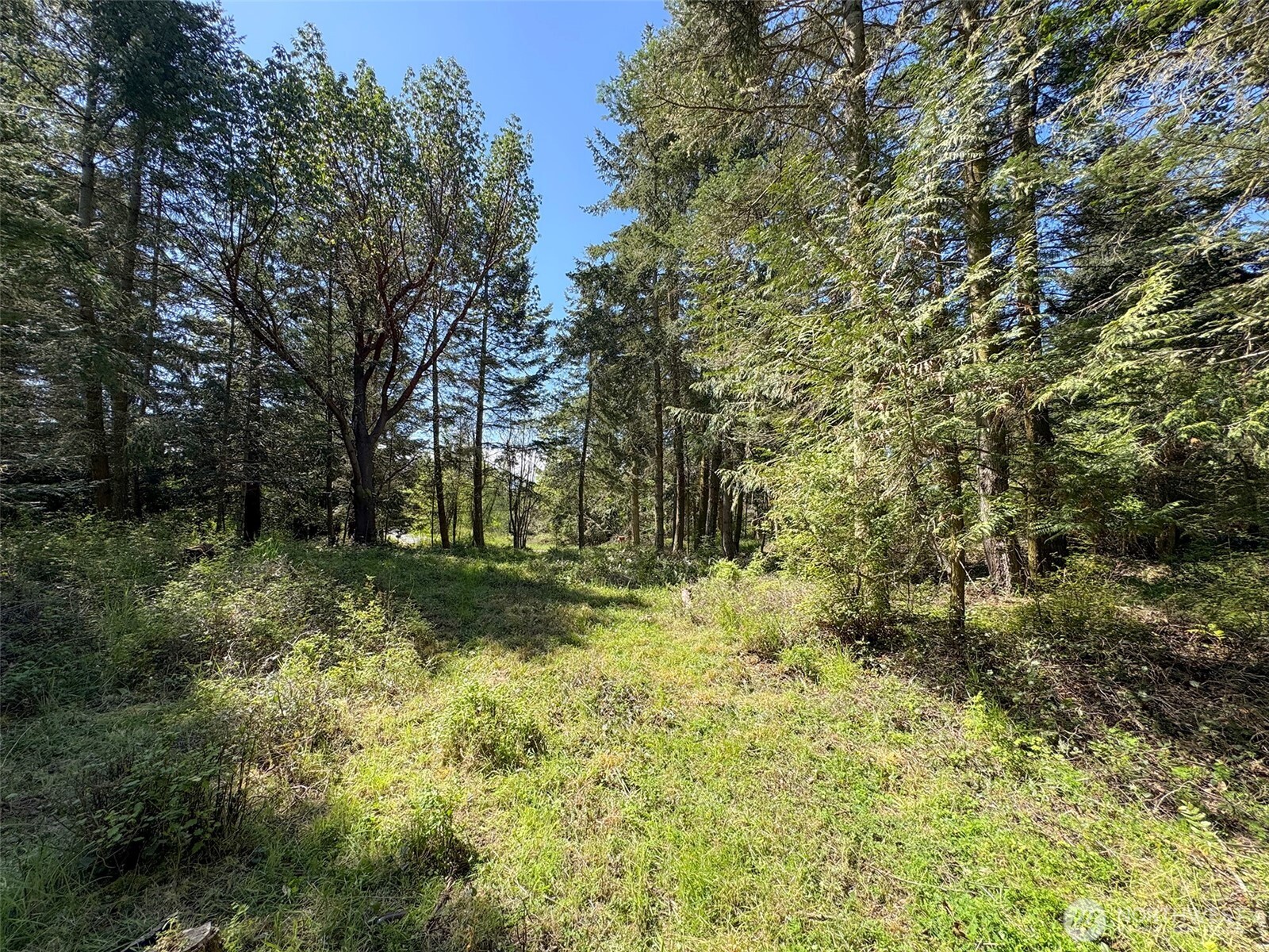 392 Holgerson Road, Unit LOT 3 Sequim, WA 98382 - Photo 20 of 39