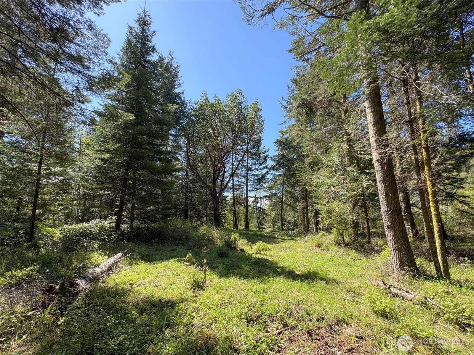 392 Holgerson Road, Unit LOT 3 Sequim, WA 98382 - Photo 21 of 39