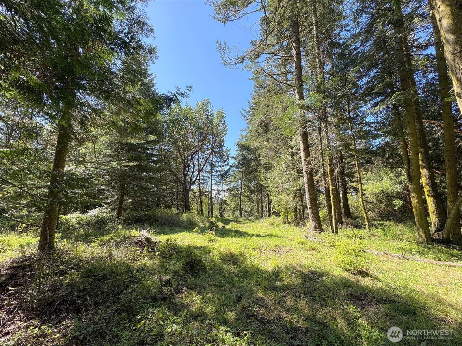 392 Holgerson Road, Unit LOT 3 Sequim, WA 98382 - Photo 22 of 39