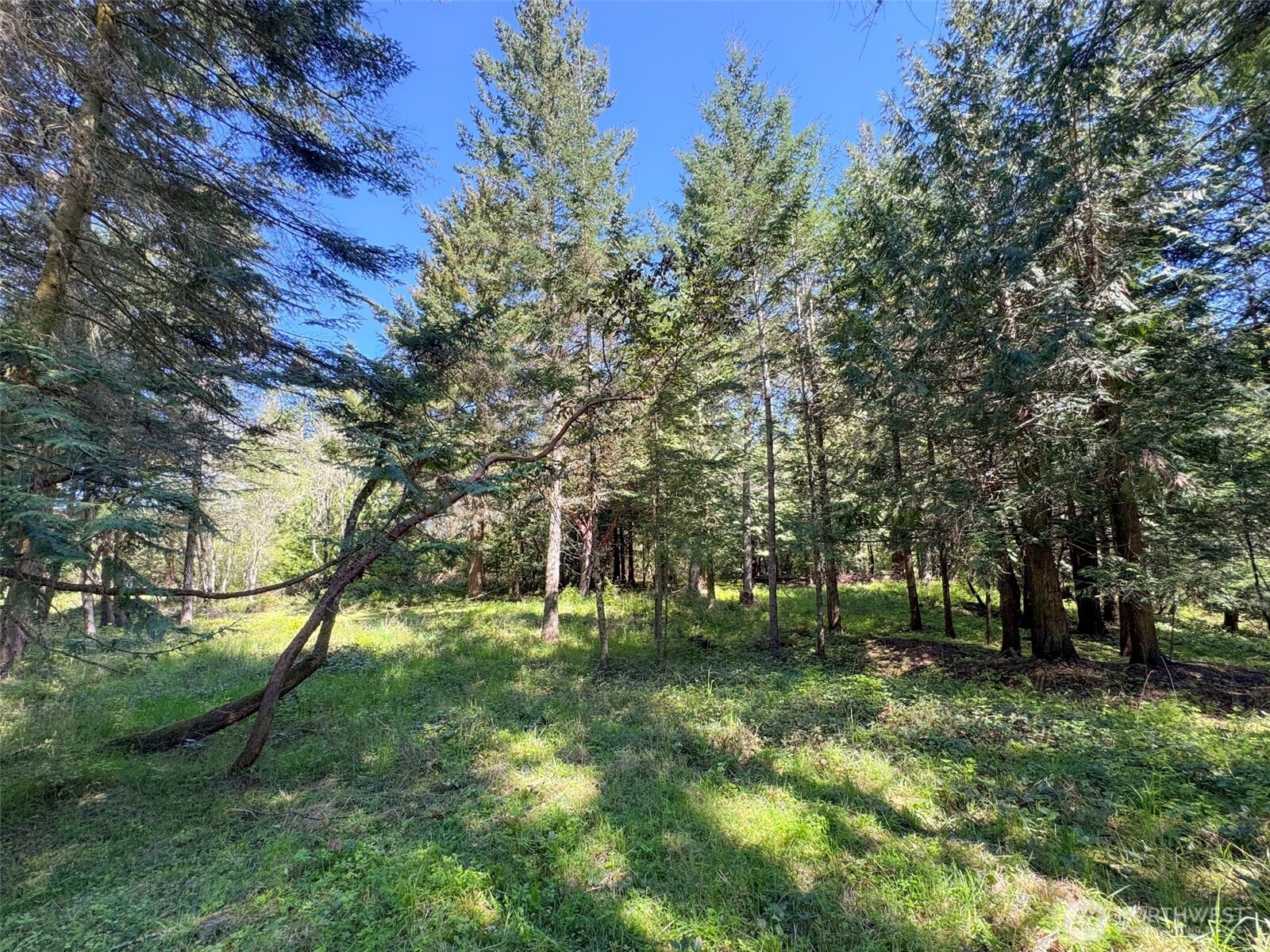 392 Holgerson Road, Unit LOT 3 Sequim, WA 98382 - Photo 23 of 39
