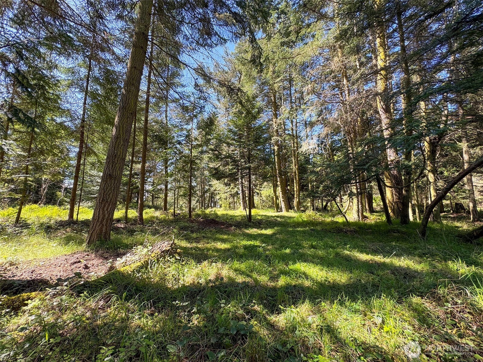 392 Holgerson Road, Unit LOT 3 Sequim, WA 98382 - Photo 24 of 39