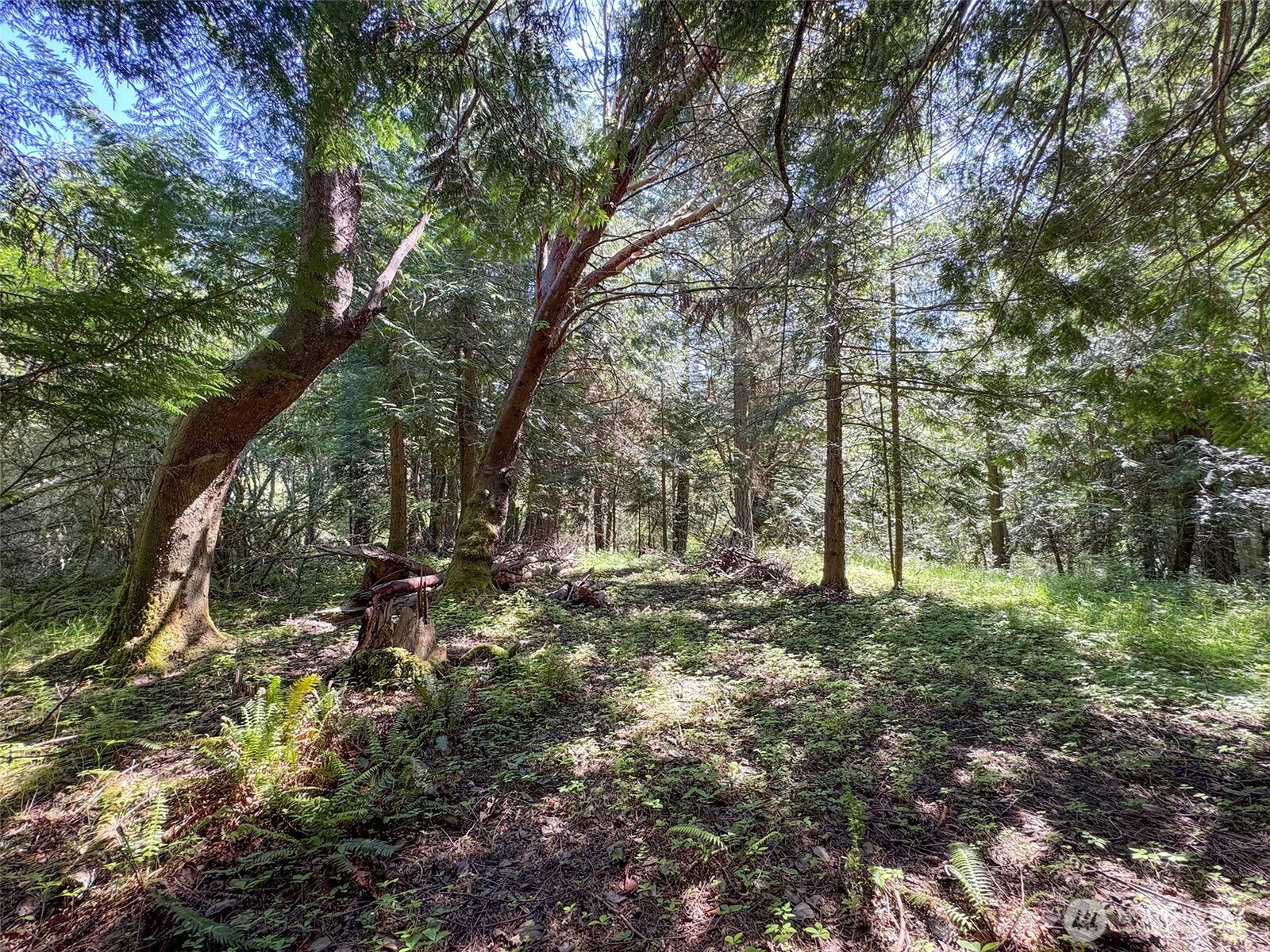 392 Holgerson Road, Unit LOT 3 Sequim, WA 98382 - Photo 25 of 39