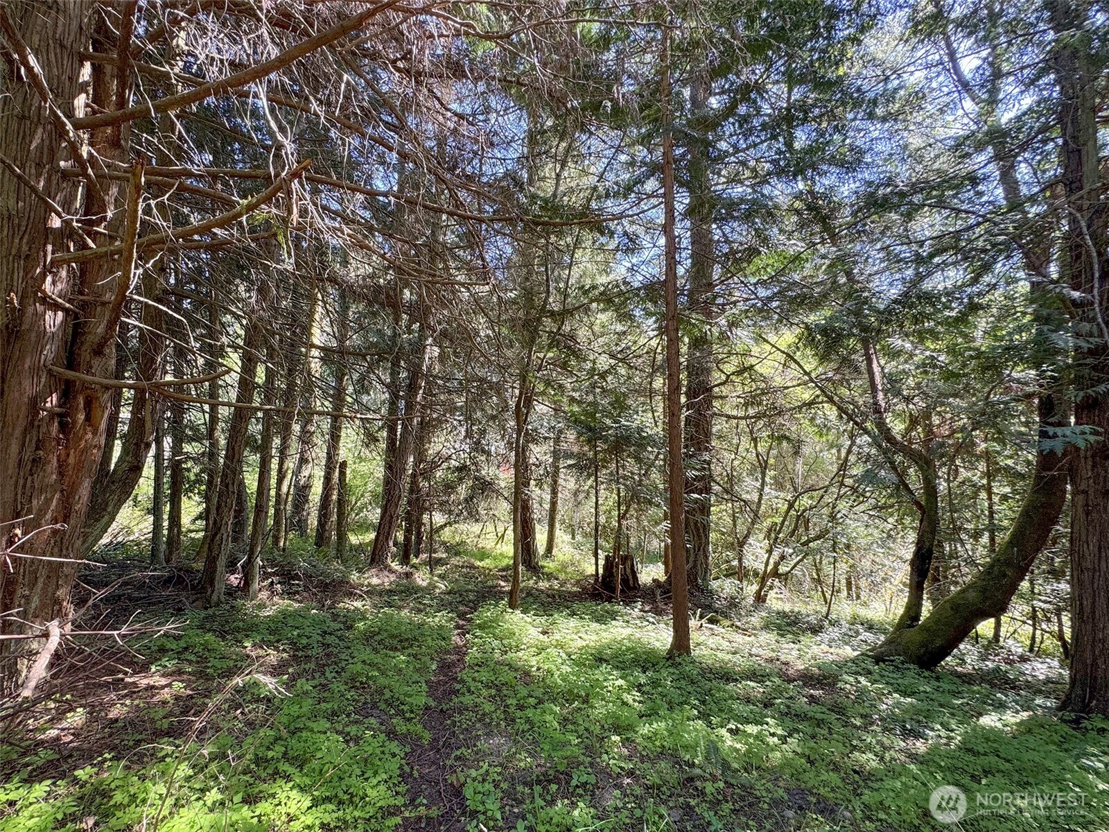 392 Holgerson Road, Unit LOT 3 Sequim, WA 98382 - Photo 26 of 39