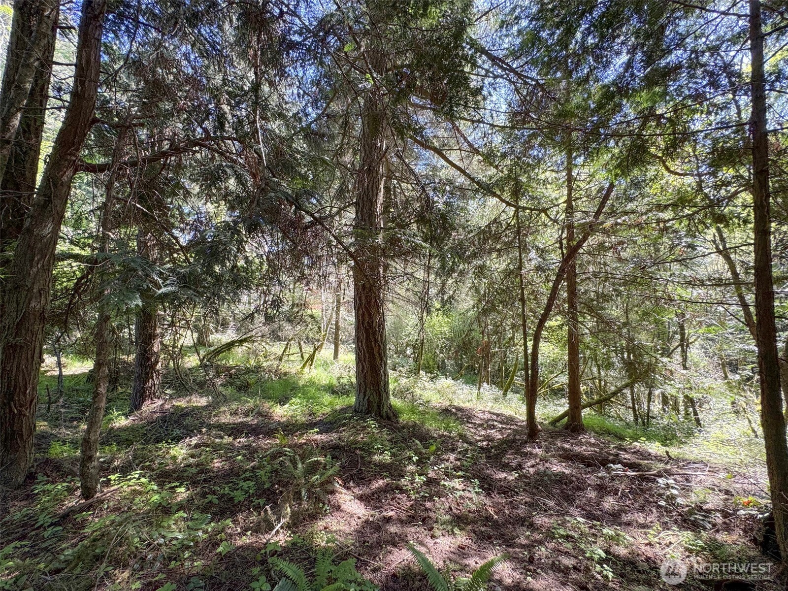 392 Holgerson Road, Unit LOT 3 Sequim, WA 98382 - Photo 27 of 39