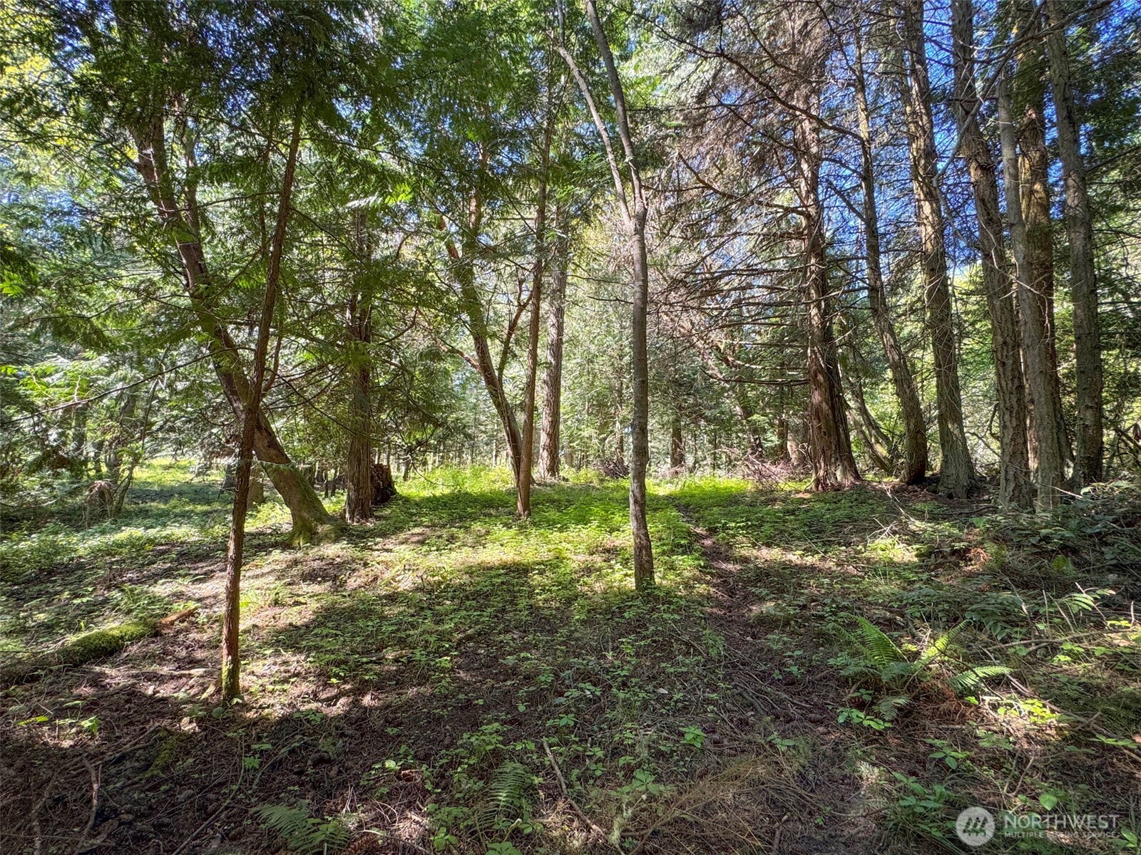 392 Holgerson Road, Unit LOT 3 Sequim, WA 98382 - Photo 28 of 39