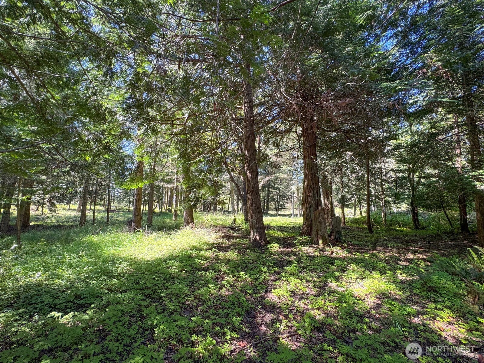 392 Holgerson Road, Unit LOT 3 Sequim, WA 98382 - Photo 29 of 39