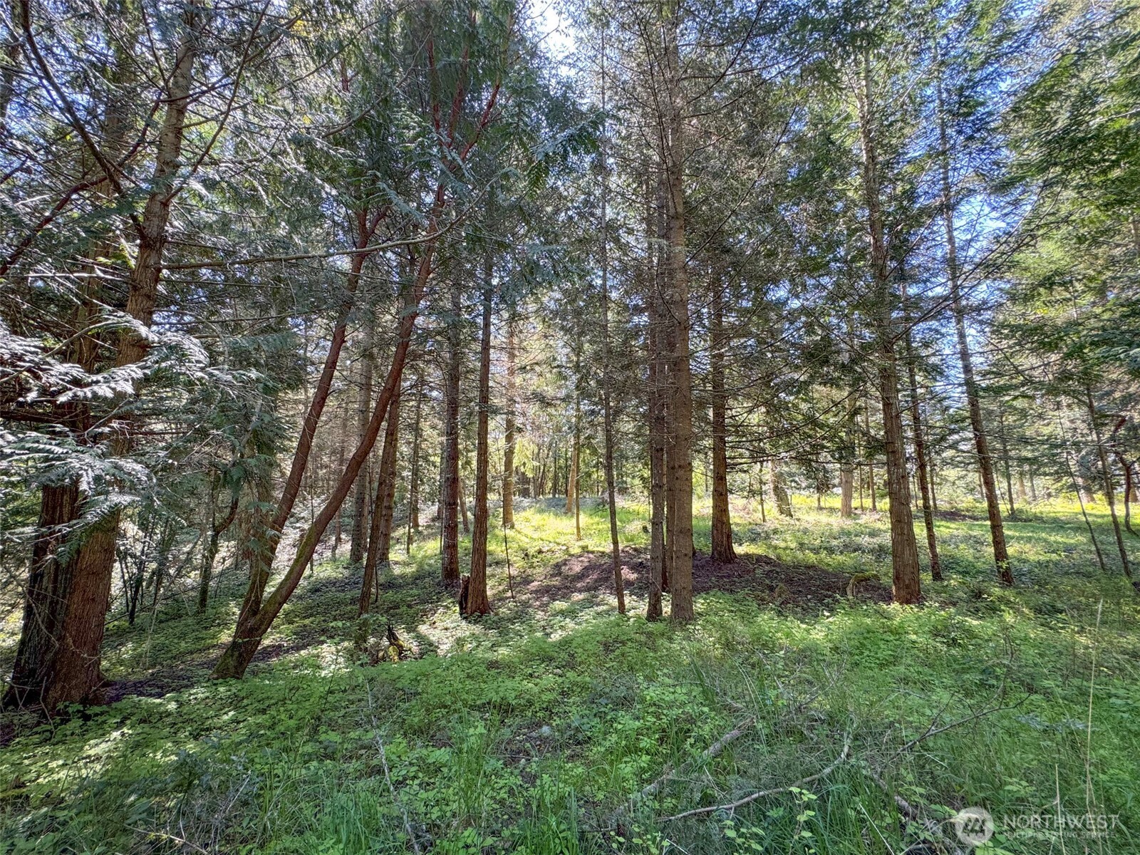 392 Holgerson Road, Unit LOT 3 Sequim, WA 98382 - Photo 30 of 39