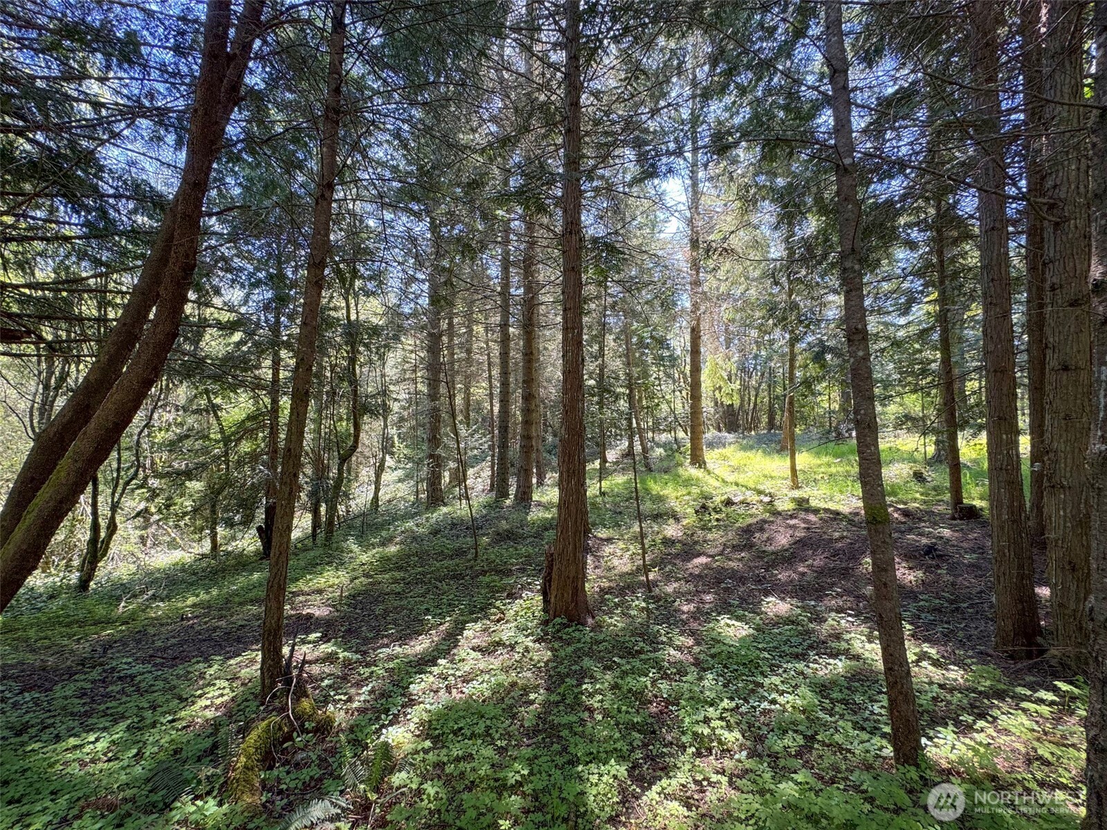392 Holgerson Road, Unit LOT 3 Sequim, WA 98382 - Photo 31 of 39