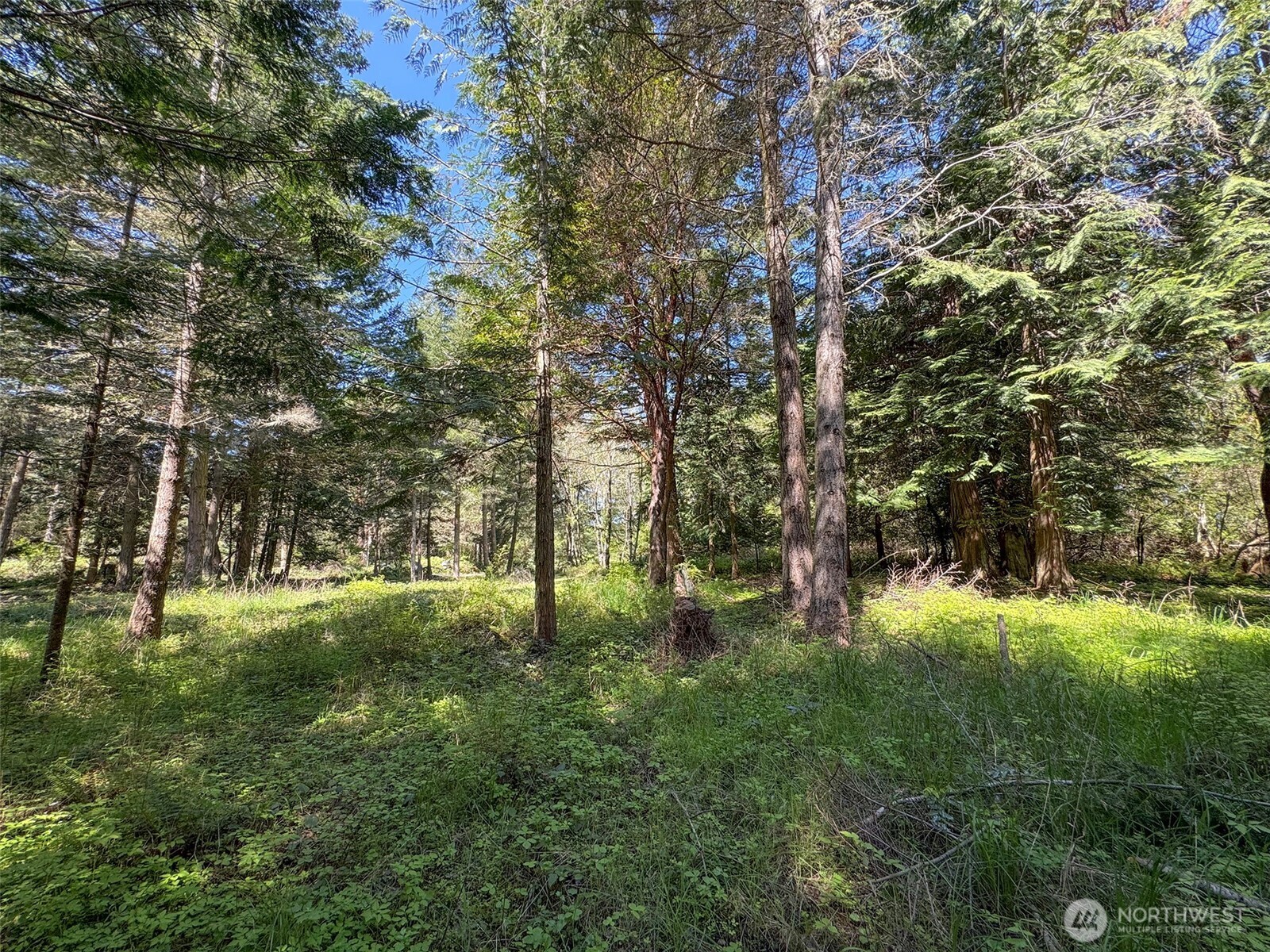 392 Holgerson Road, Unit LOT 3 Sequim, WA 98382 - Photo 32 of 39