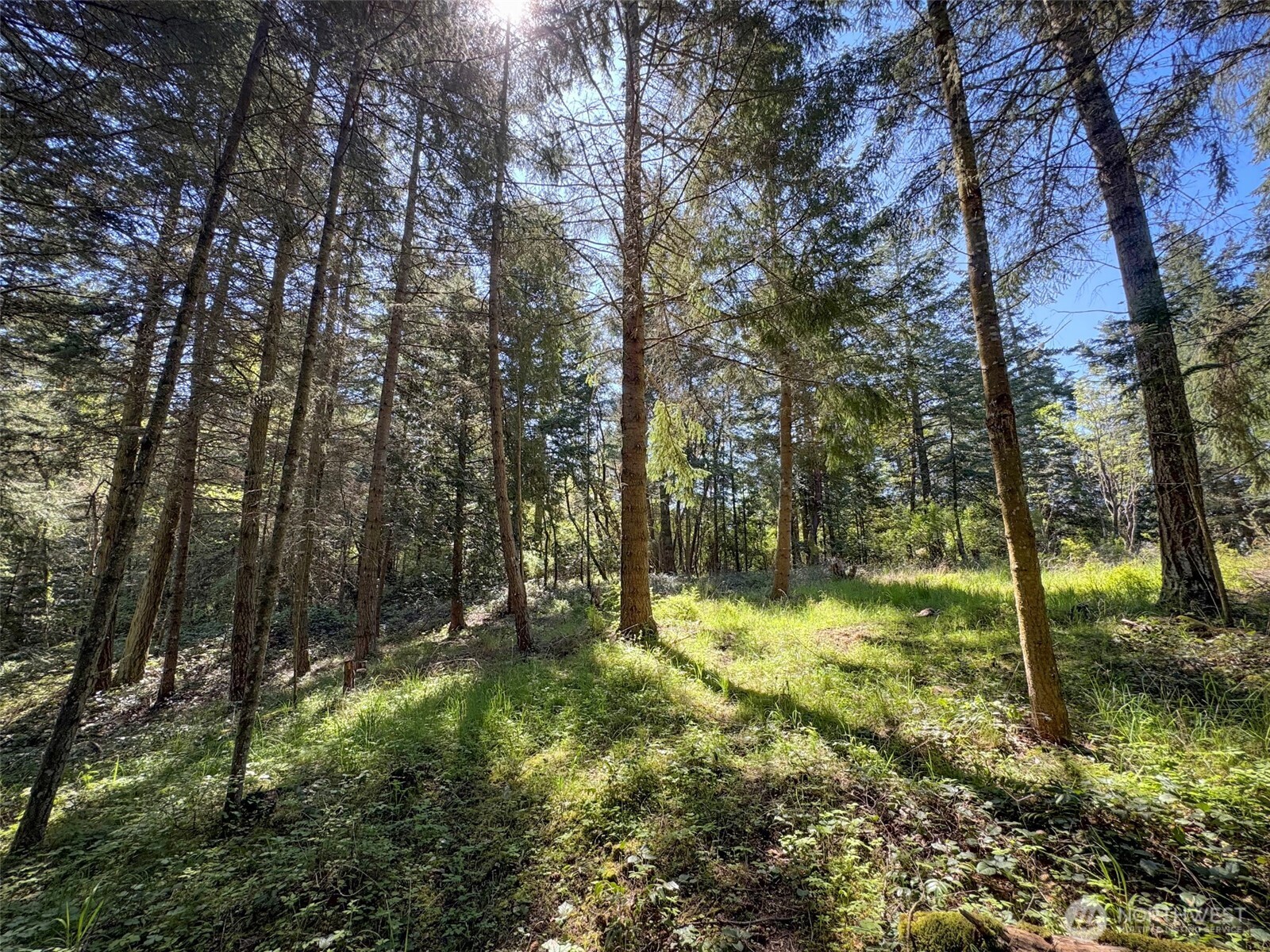 392 Holgerson Road, Unit LOT 3 Sequim, WA 98382 - Photo 33 of 39