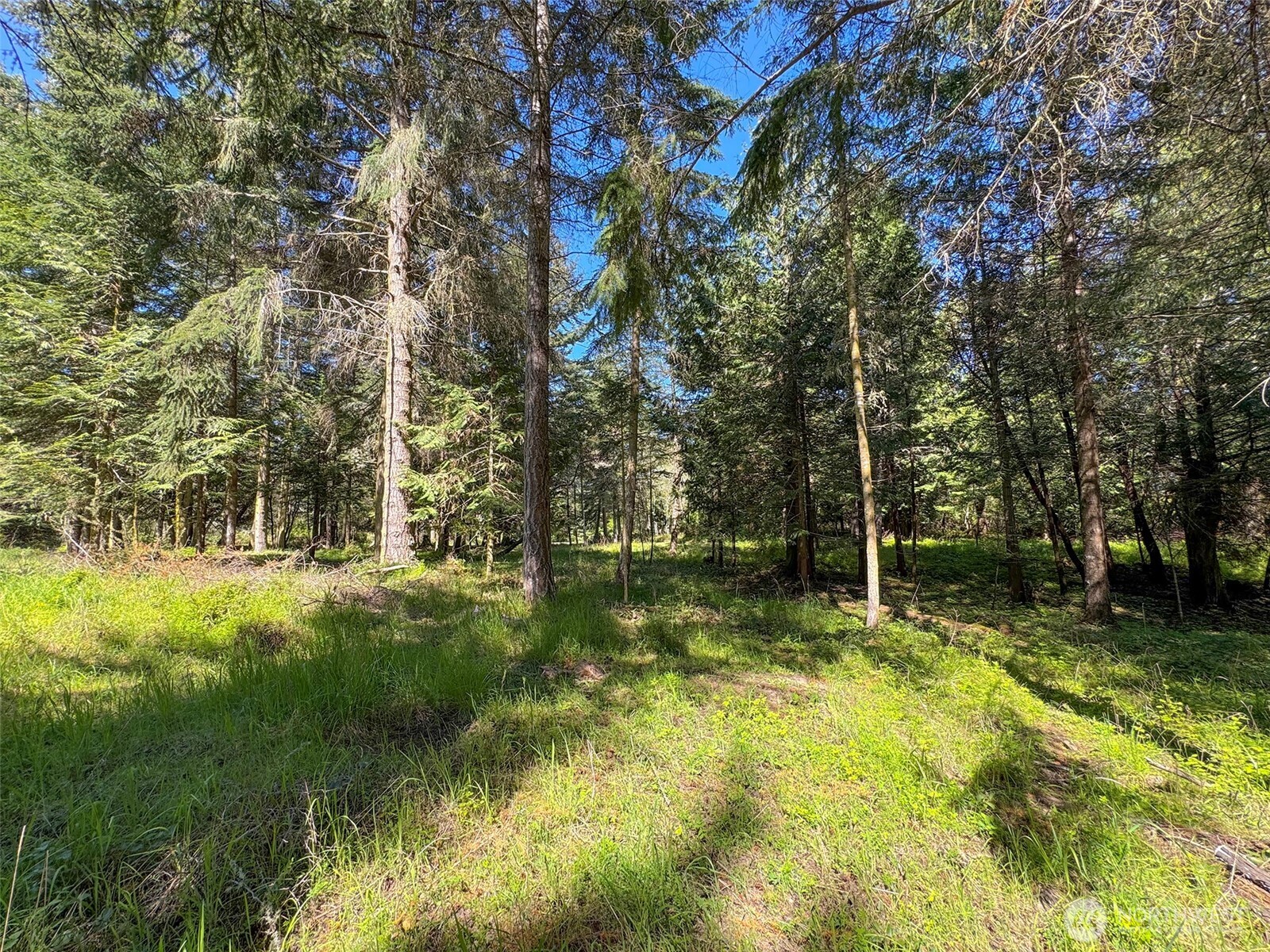 392 Holgerson Road, Unit LOT 3 Sequim, WA 98382 - Photo 34 of 39