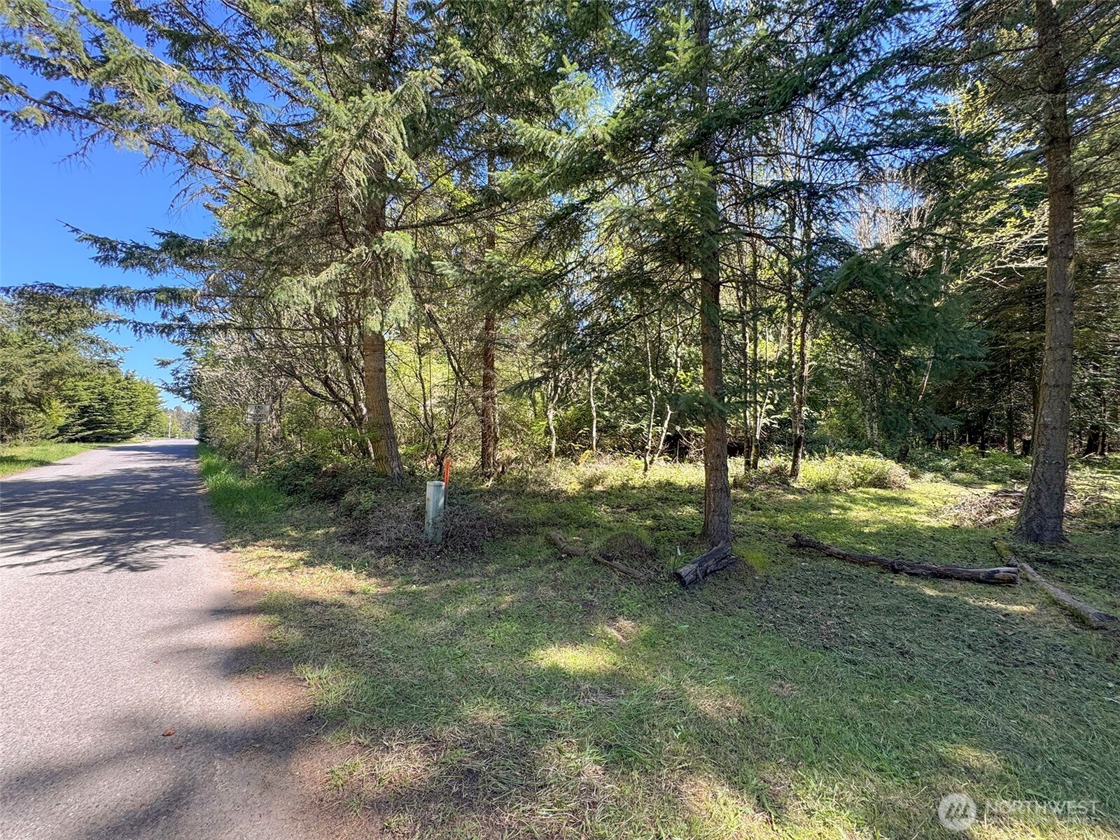 392 Holgerson Road, Unit LOT 3 Sequim, WA 98382 - Photo 7 of 39