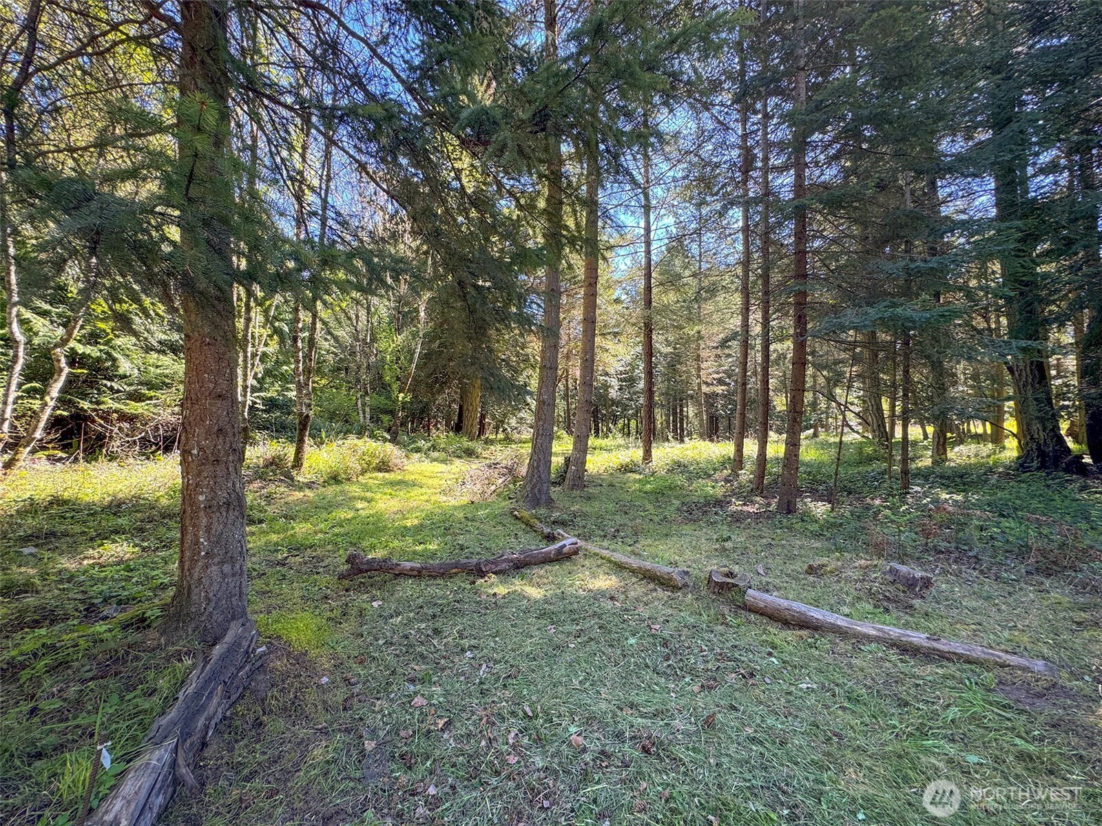 392 Holgerson Road, Unit LOT 3 Sequim, WA 98382 - Photo 8 of 39