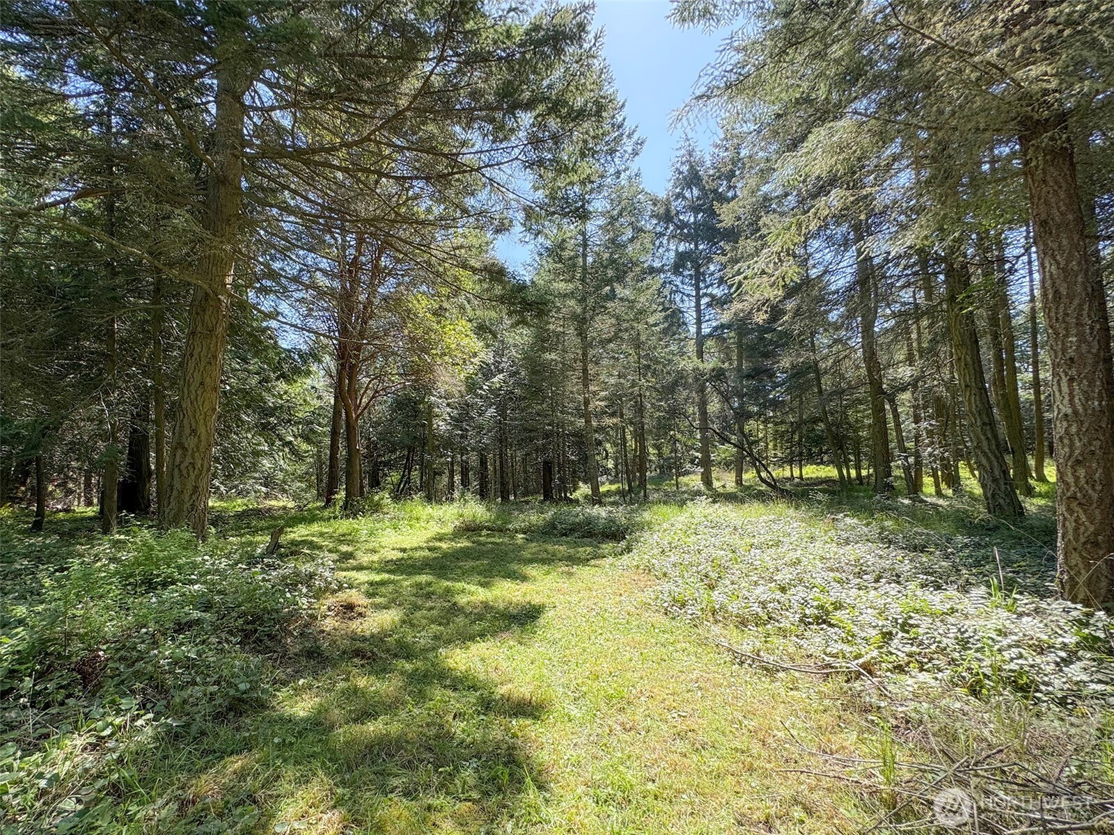 392 Holgerson Road, Unit LOT 3 Sequim, WA 98382 - Photo 9 of 39