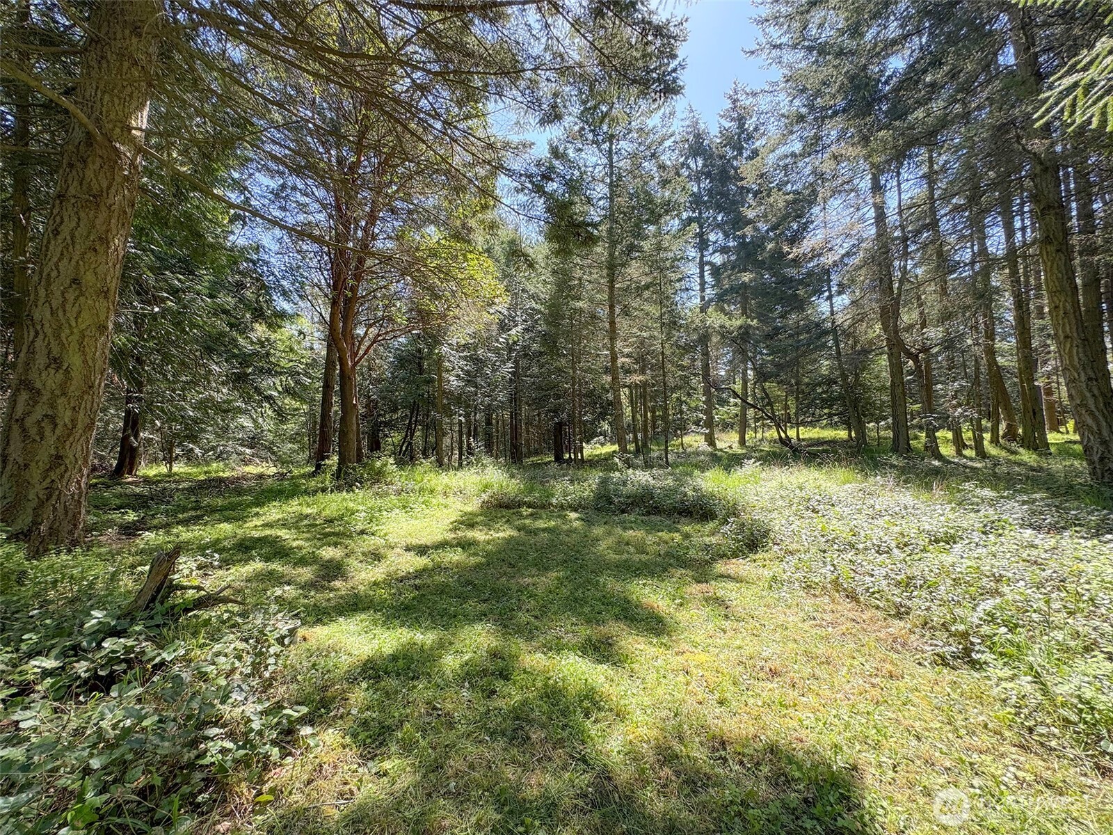 392 Holgerson Road, Unit LOT 3 Sequim, WA 98382 - Photo 10 of 39