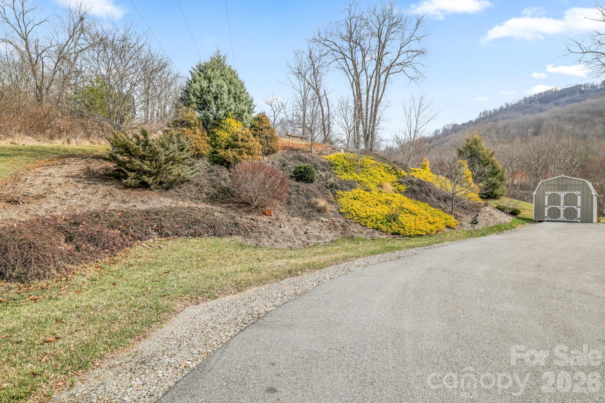 140 Debbie Loop Waynesville, NC 28786 - Photo 9 of 47 a view of a yard with plants
