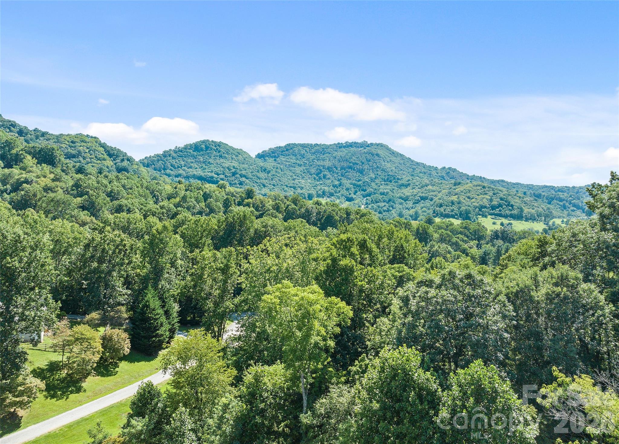 140 Debbie Loop Waynesville, NC 28786 - Photo 10 of 47 a view of a city with lush green forest