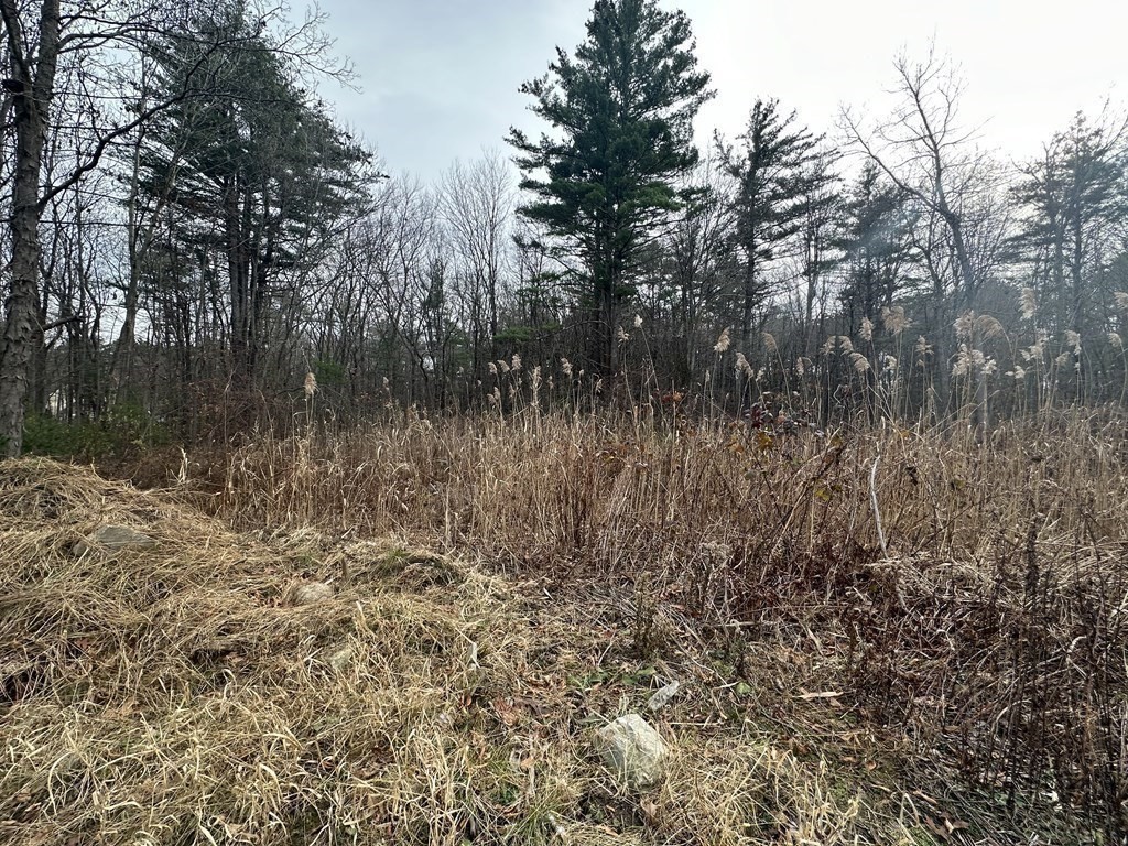 37 True Road Salisbury, MA 01952 - Photo 12 of 28 a view of a lake with lots of trees