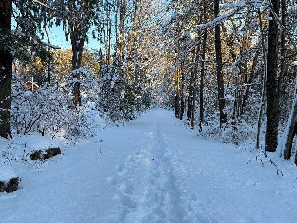 37 True Road Salisbury, MA 01952 - Photo 25 of 28 a view of a forest with trees