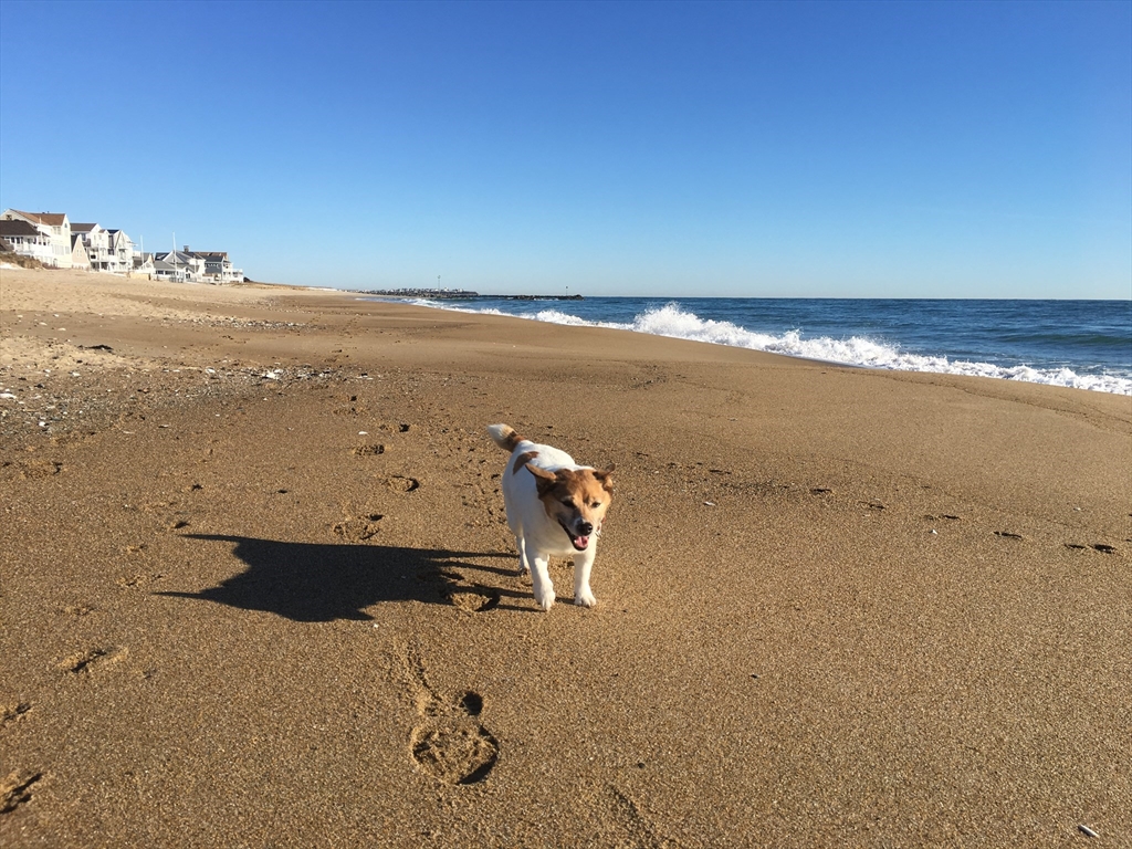 37 True Road Salisbury, MA 01952 - Photo 27 of 28 a view of an ocean and beach